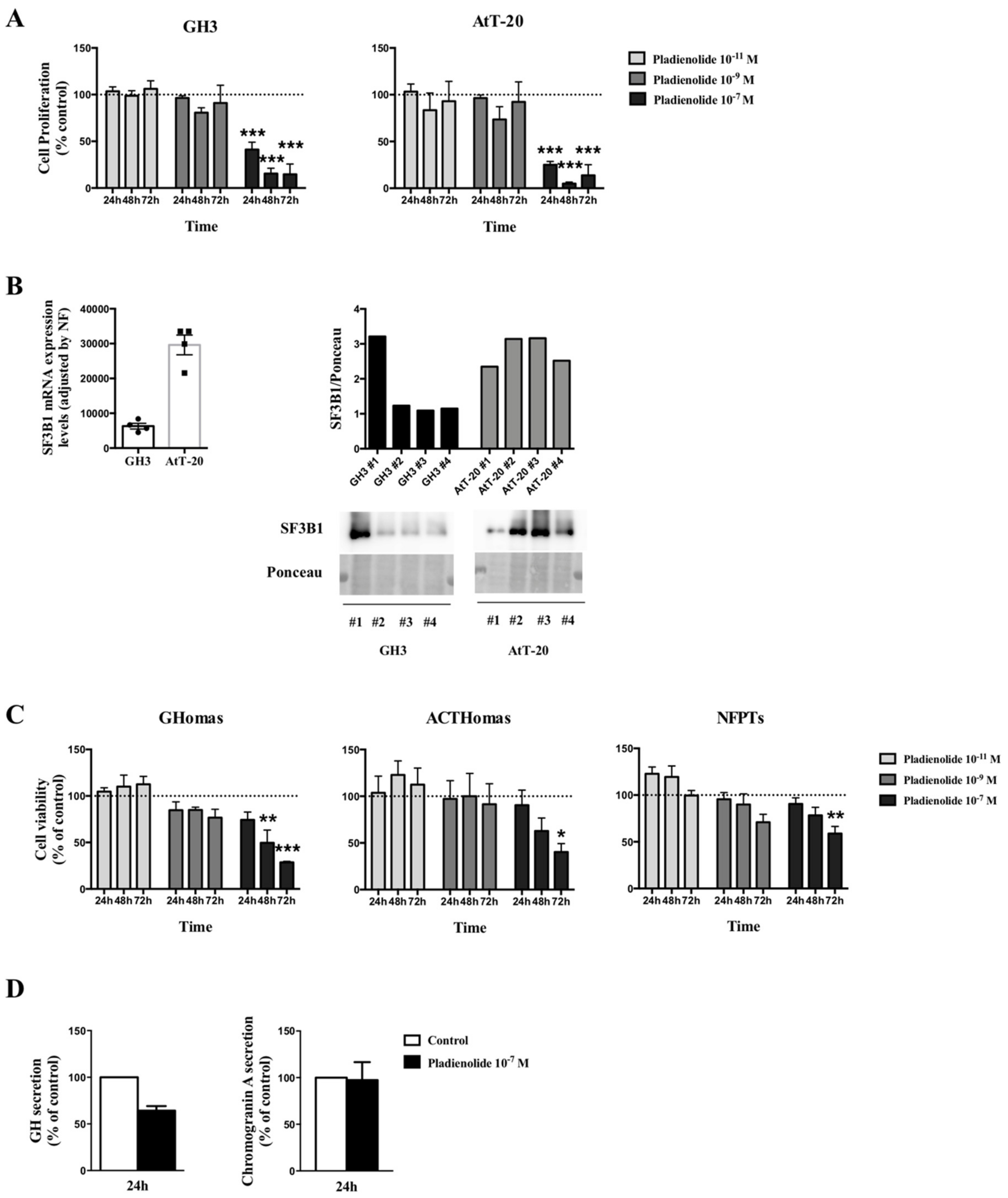 Cancers 11 01439 g005 Cancers 11 01439 g005