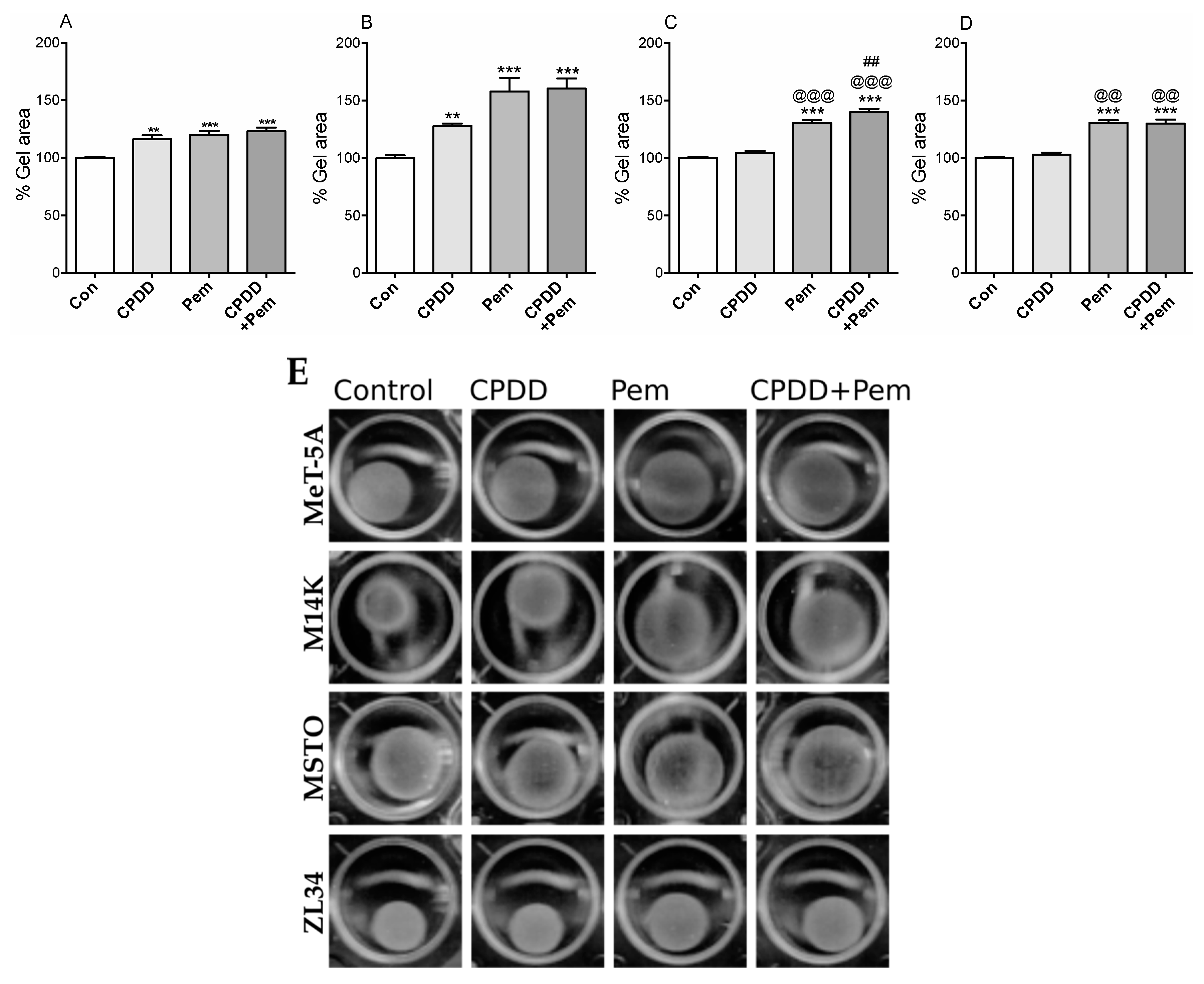 Cancers 11 01446 g004 Cancers 11 01446 g004