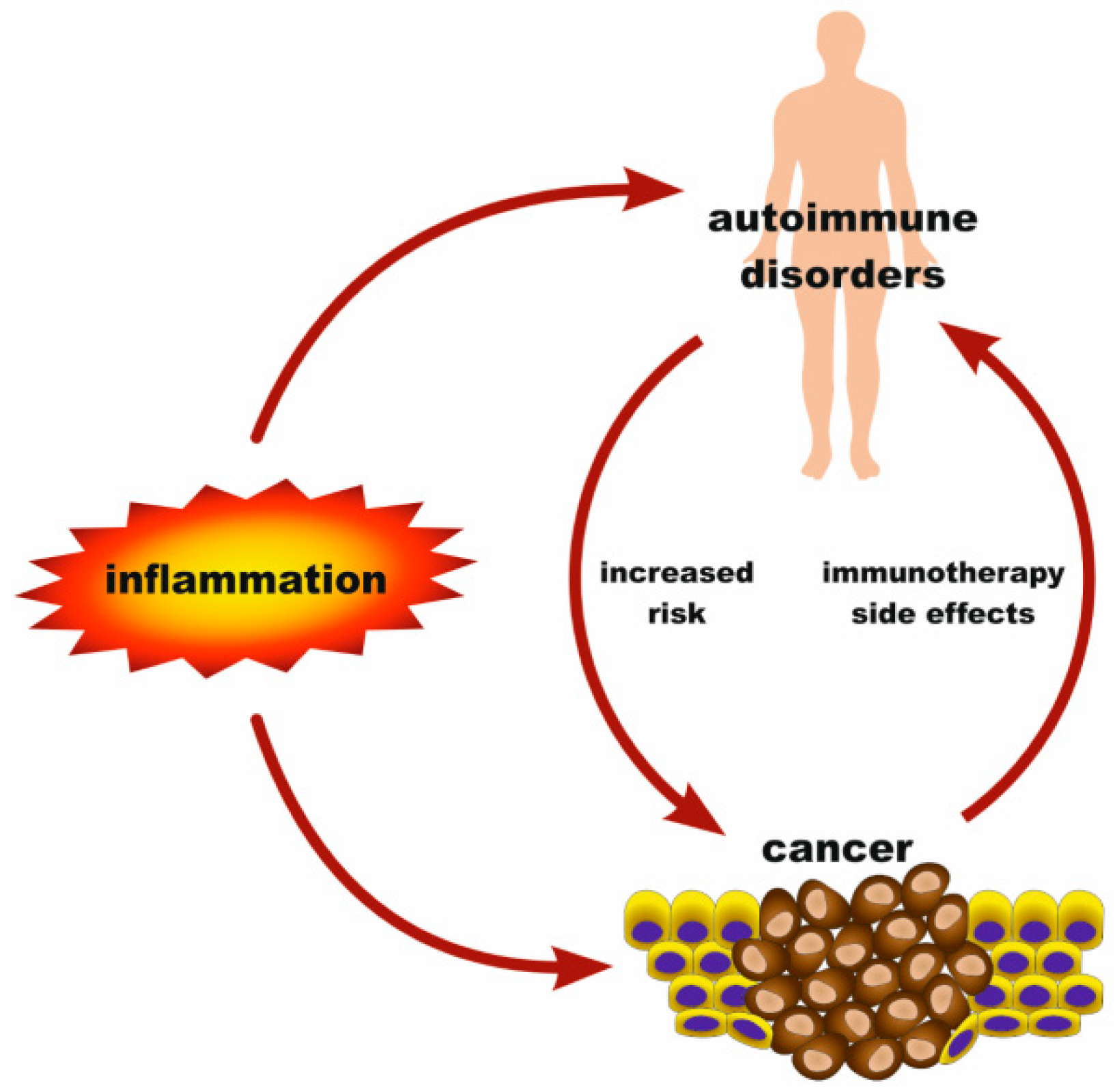 Prep Scholar Gate: Autoimmune Diseases And Cancer Risk