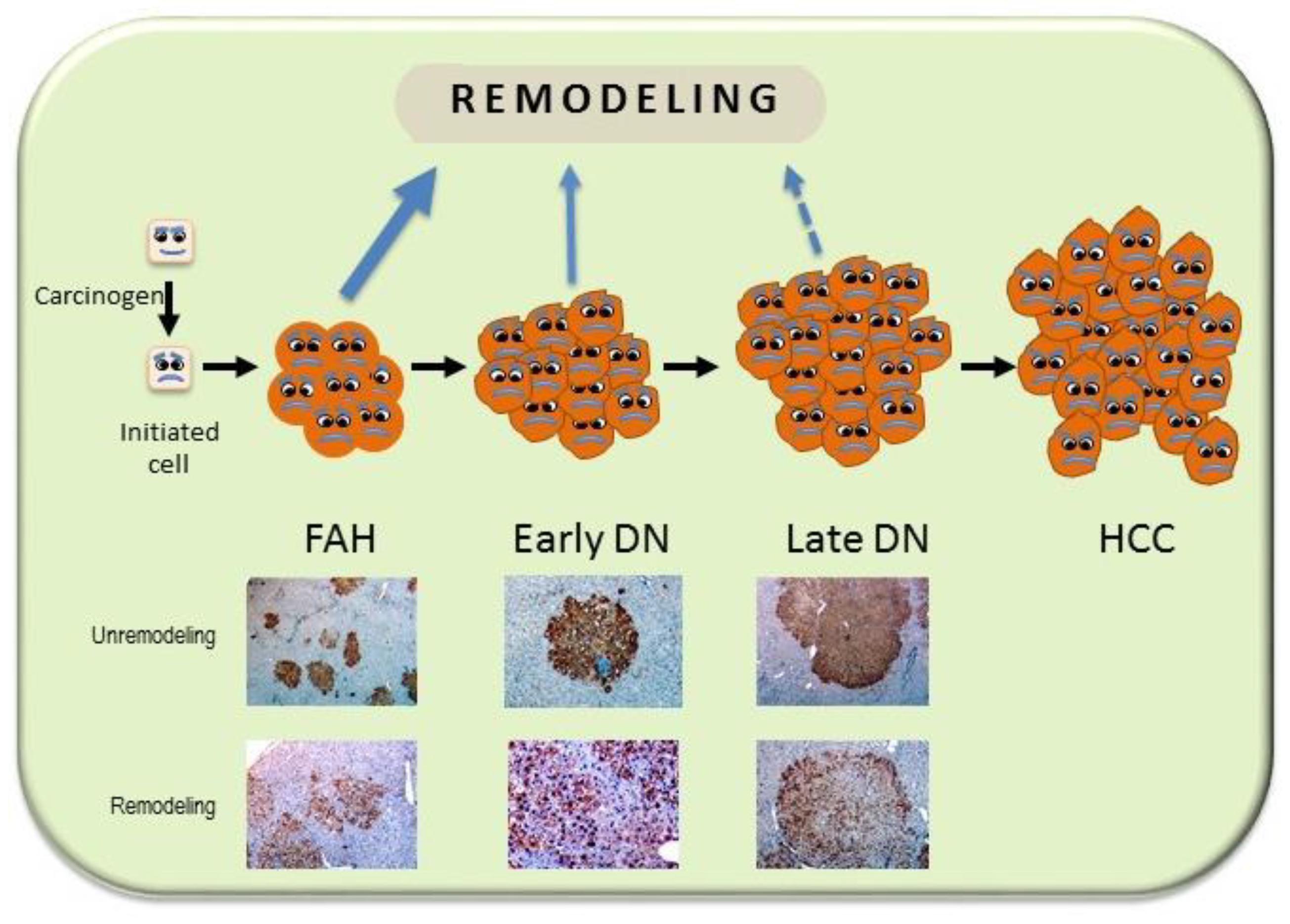 Cancers 11 01450 g003 Cancers 11 01450 g003