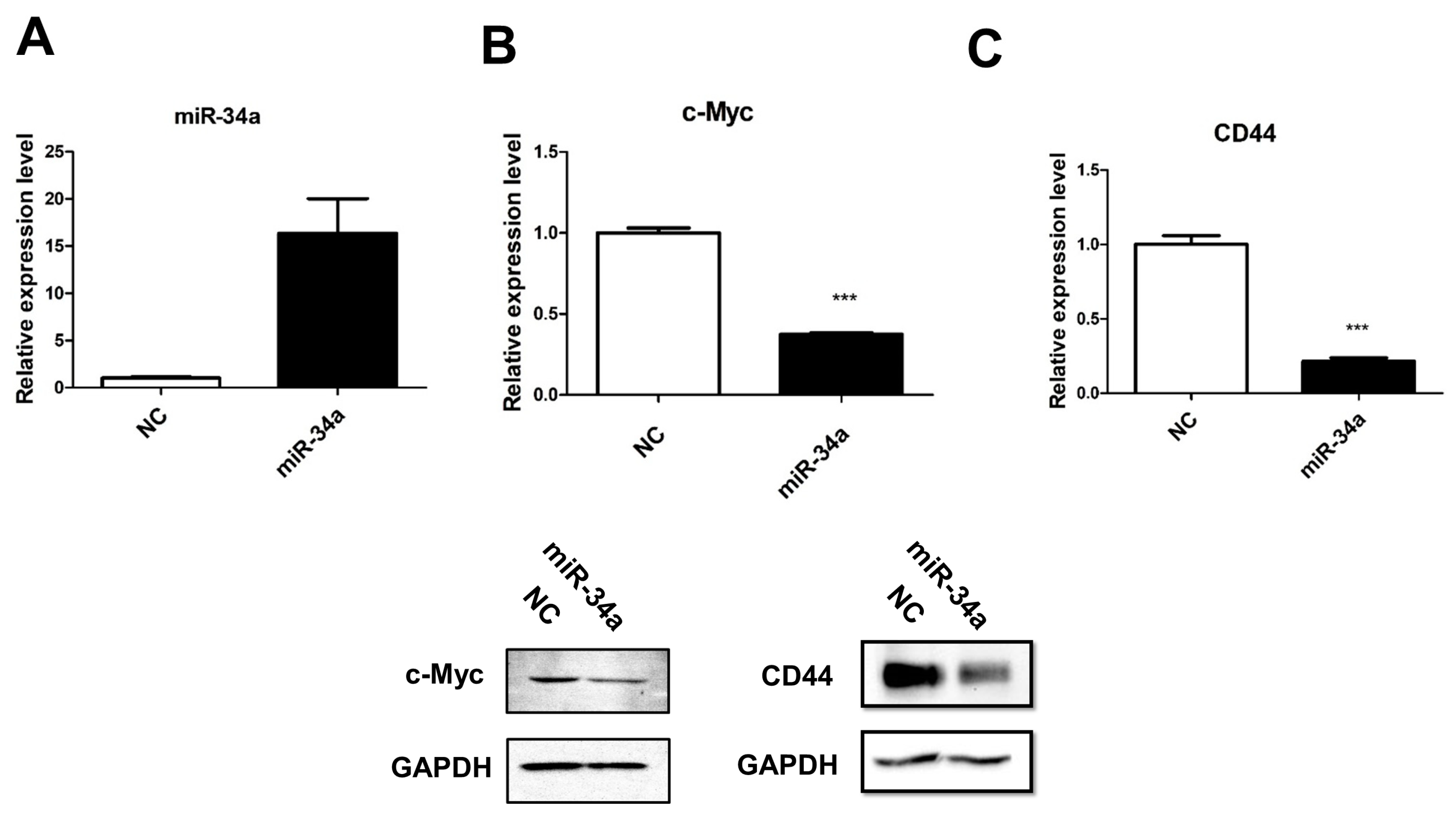 Cancers 11 01457 g002 Cancers 11 01457 g002