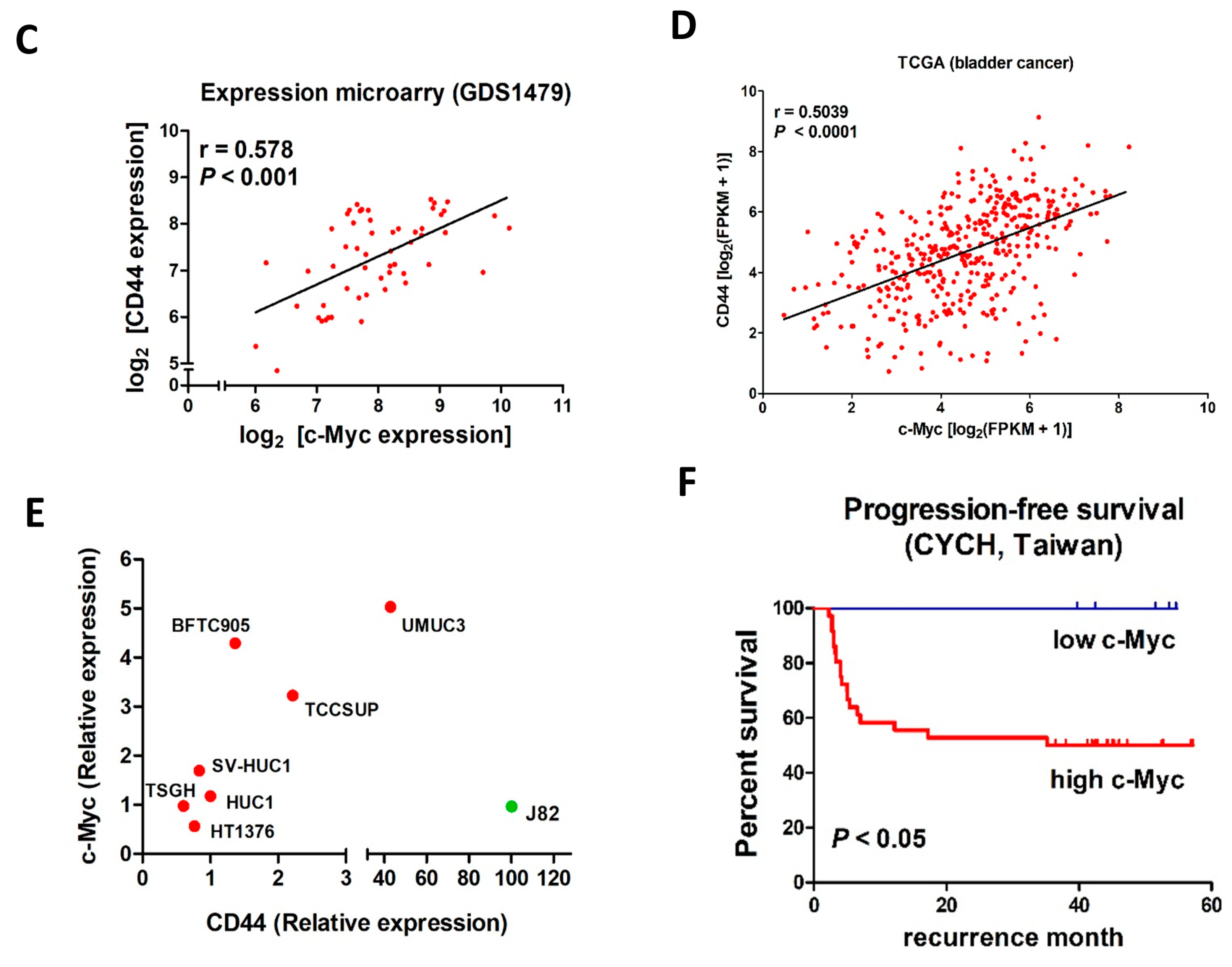 Cancers 11 01457 g006b Cancers 11 01457 g006b