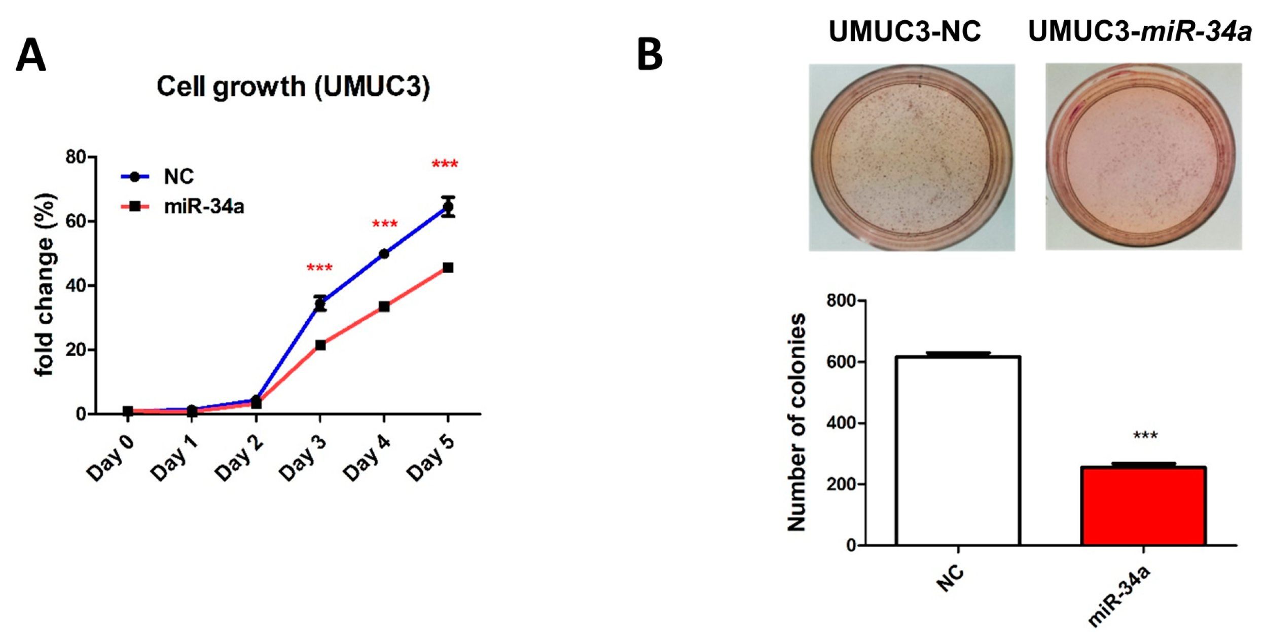 Cancers 11 01457 g008a Cancers 11 01457 g008a