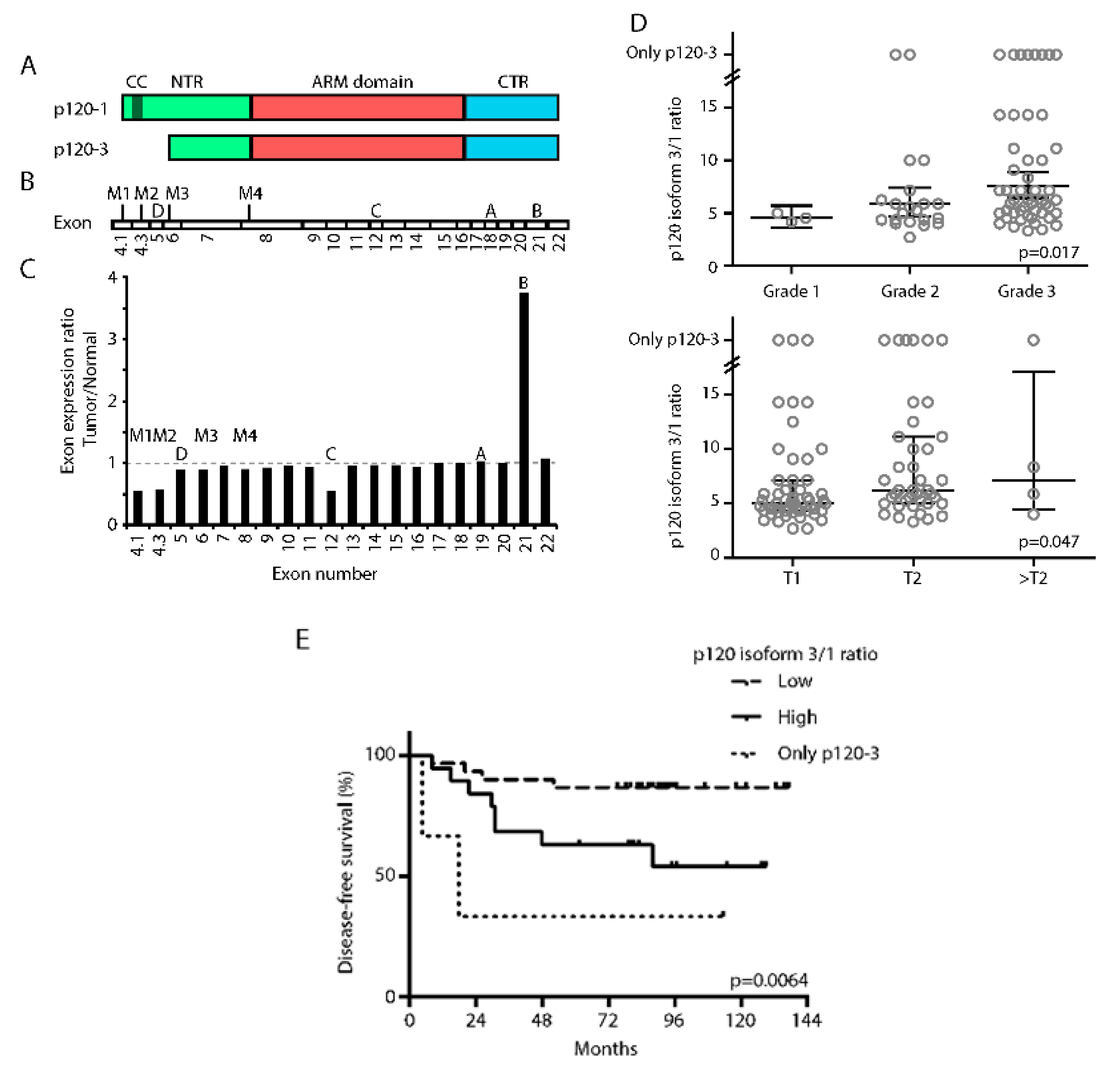 Cancers 11 01459 g001