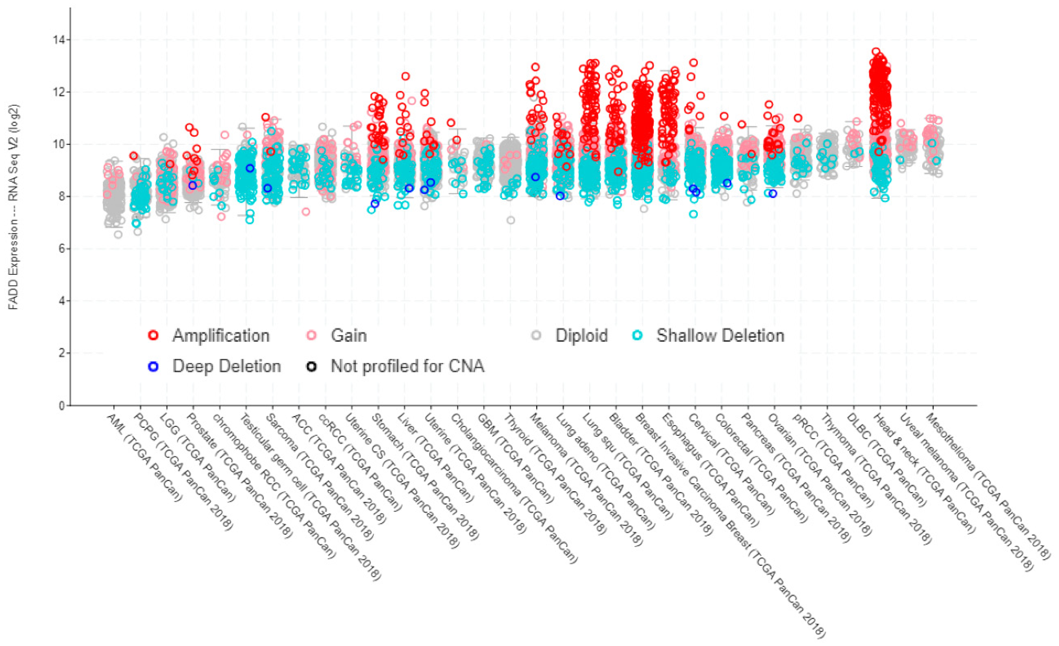 Cancers 11 01462 g003 Cancers 11 01462 g003