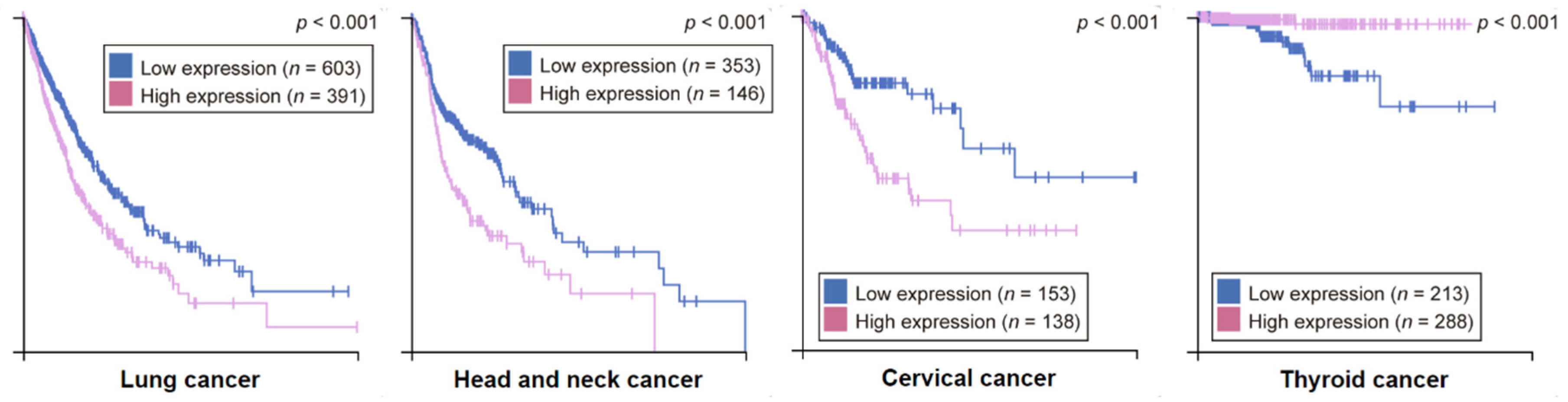 Cancers 11 01462 g008 Cancers 11 01462 g008