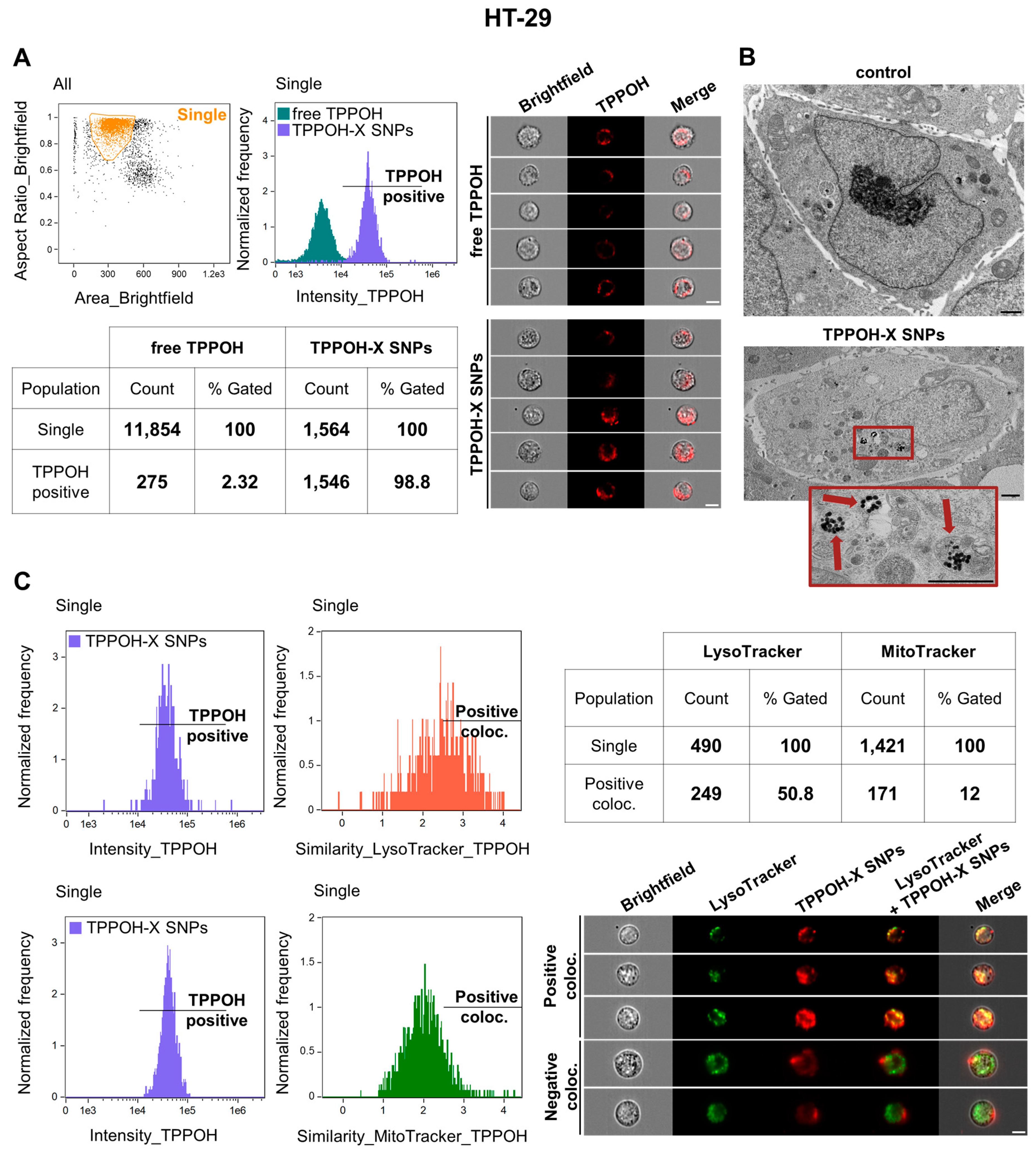 Cancers 11 01474 g002