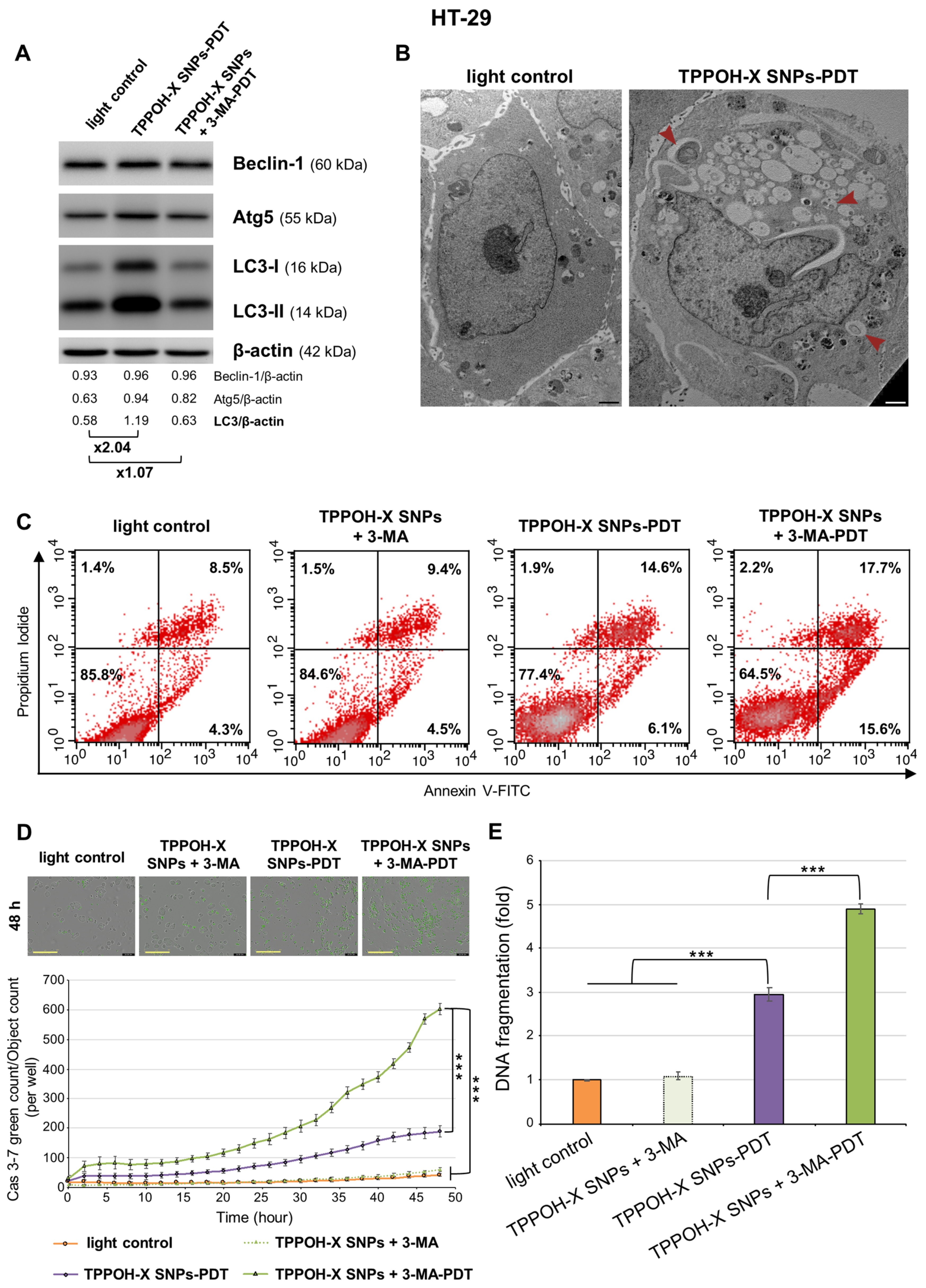 Cancers 11 01474 g004