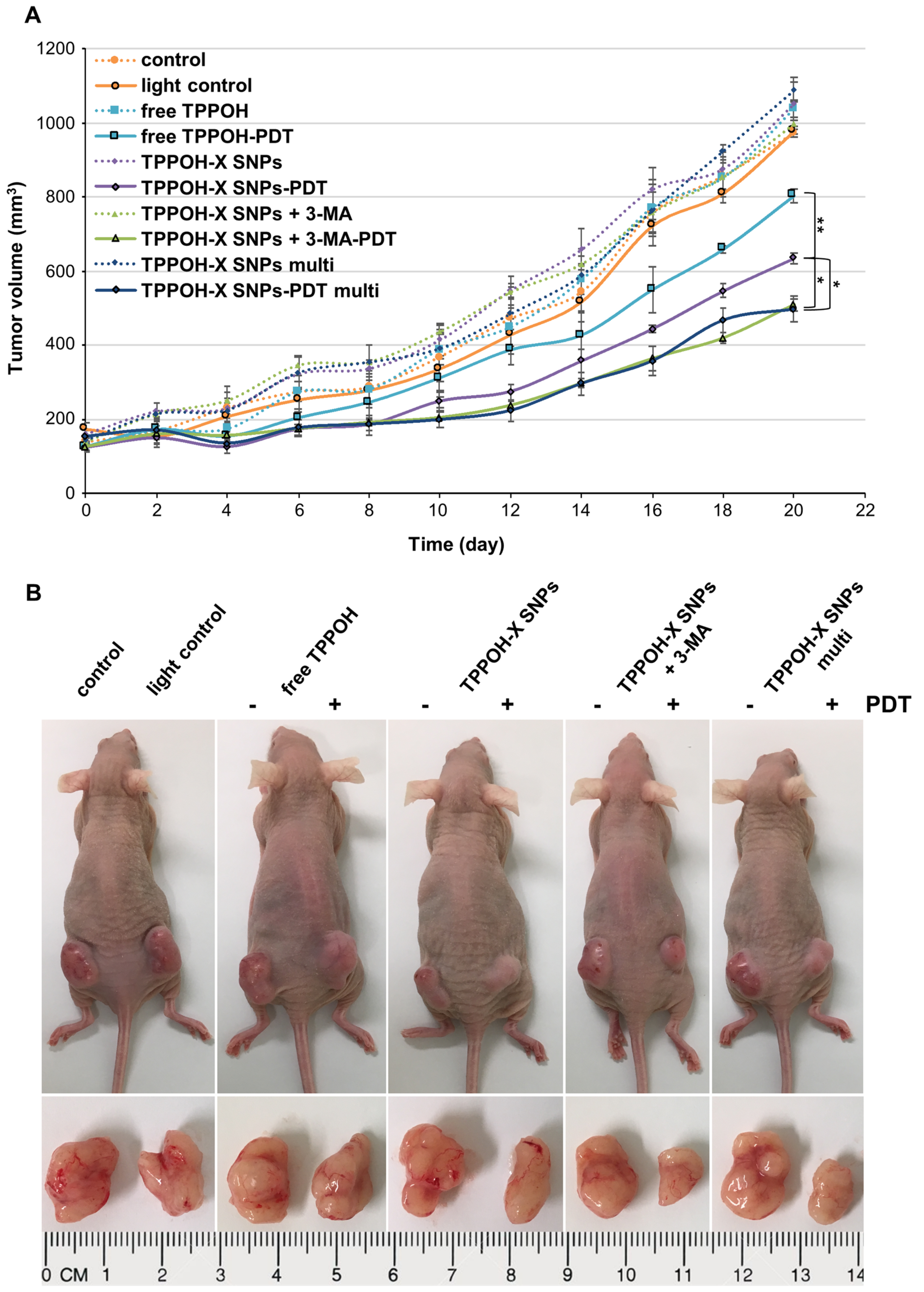 Cancers 11 01474 g005