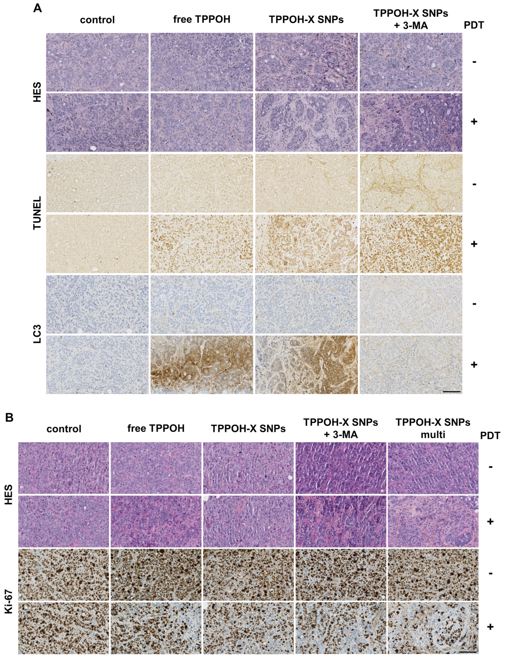 Cancers 11 01474 g006
