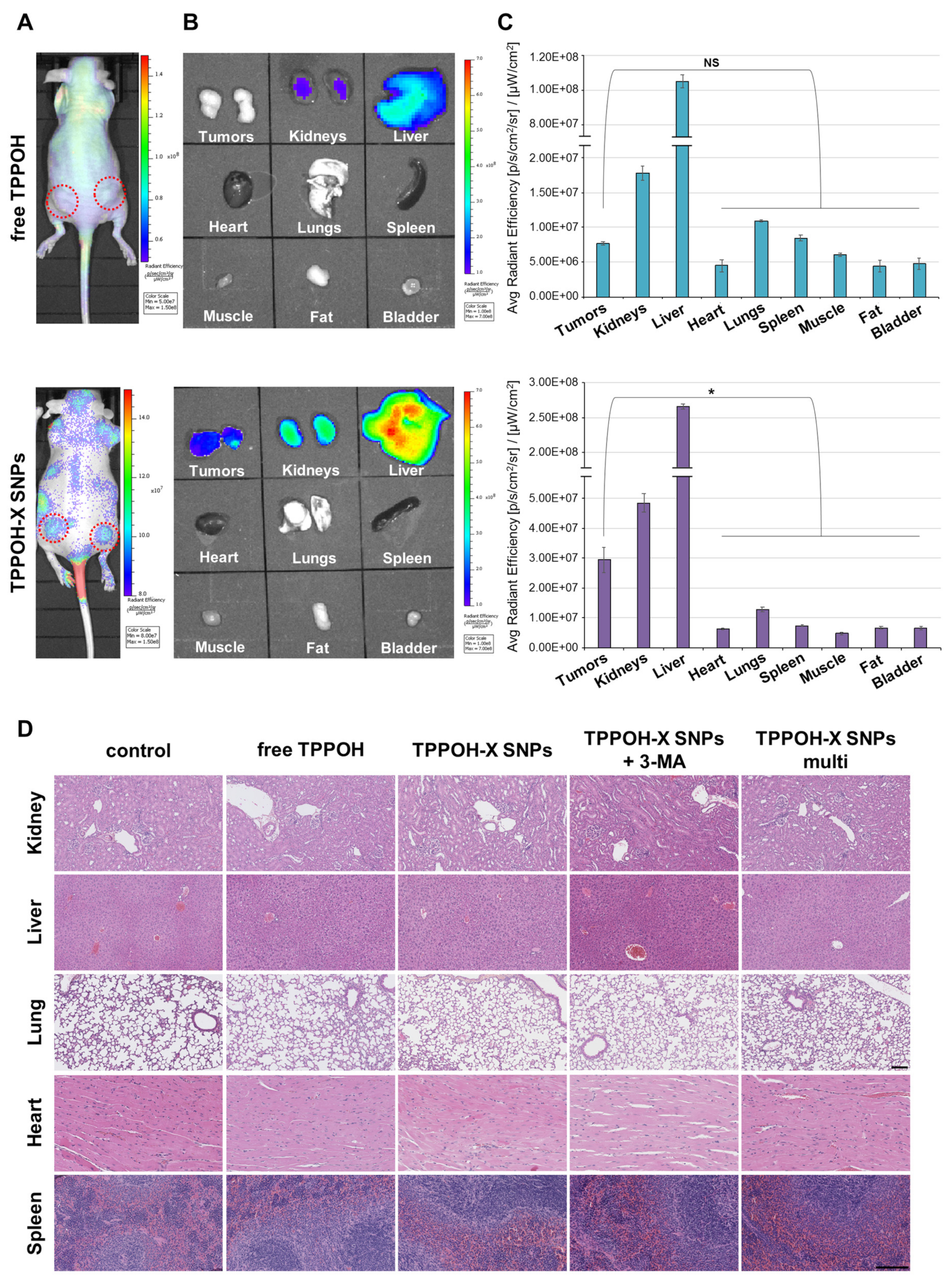 Cancers 11 01474 g007