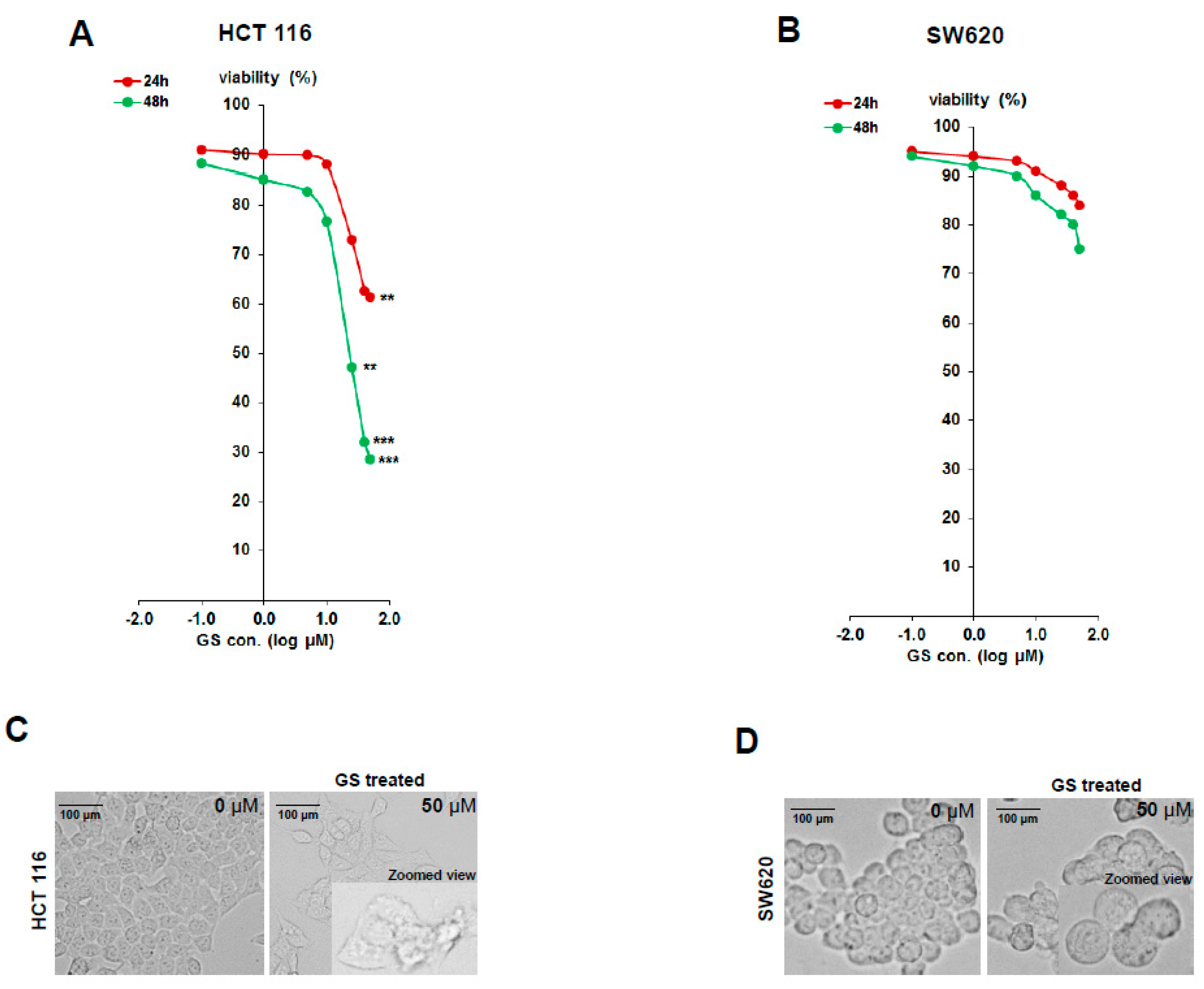 Cancers 11 01478 g001 Cancers 11 01478 g001