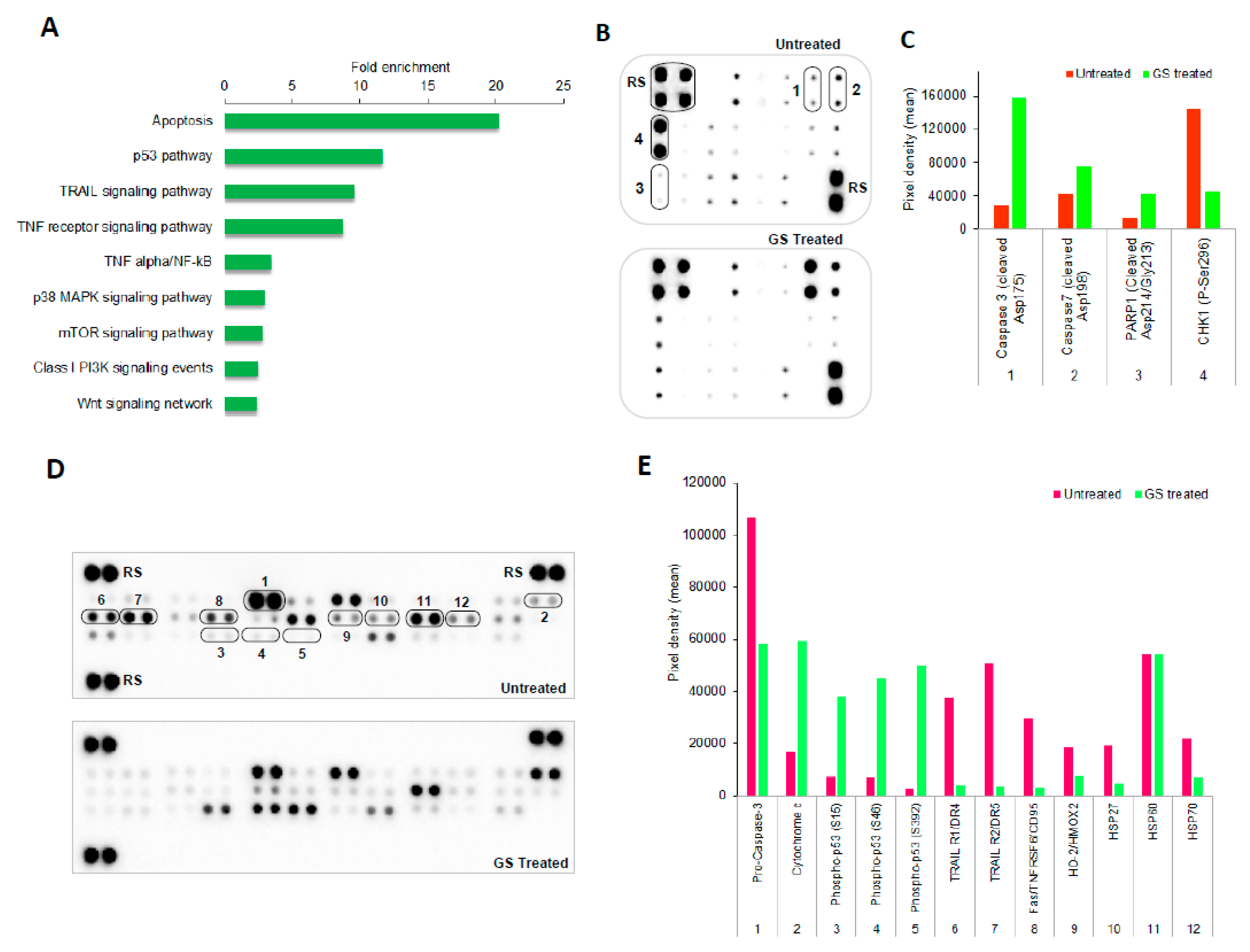 Cancers 11 01478 g006a Cancers 11 01478 g006a