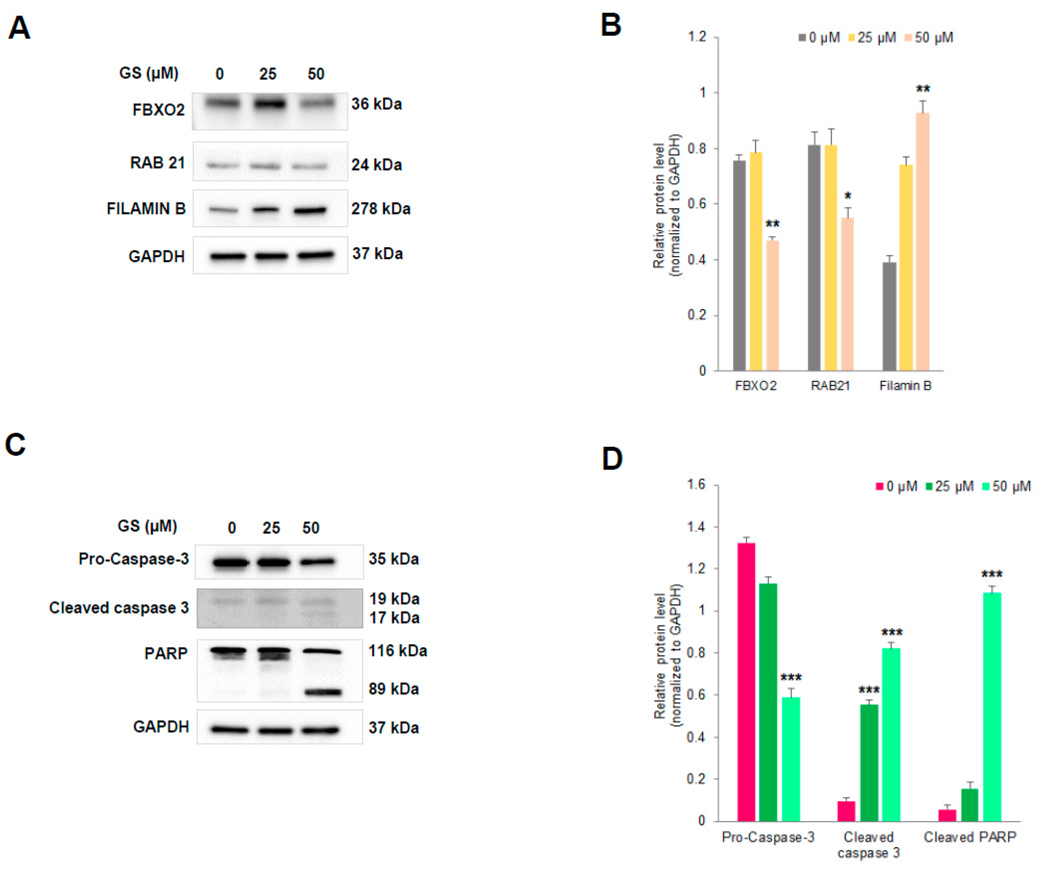 Cancers 11 01478 g008 Cancers 11 01478 g008