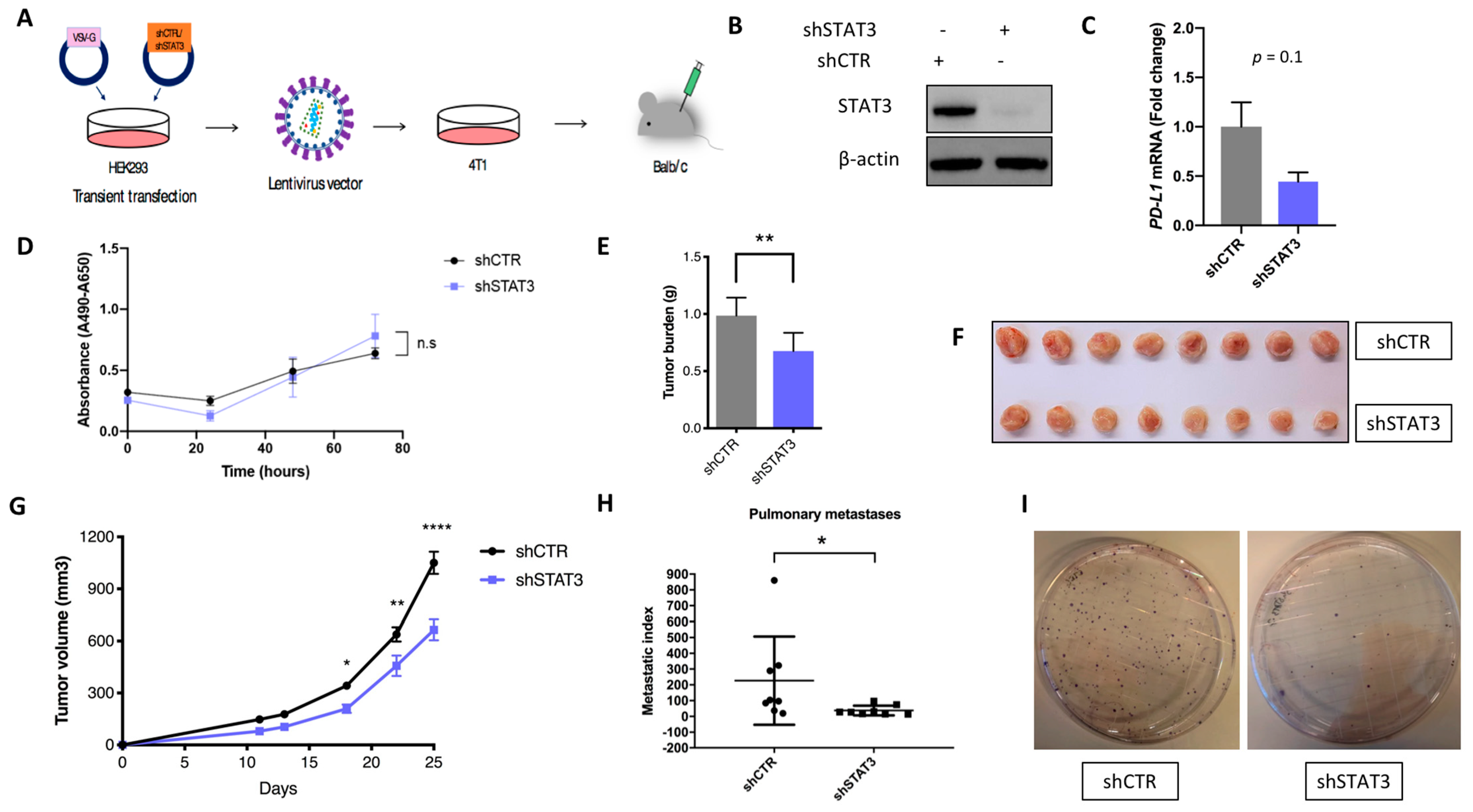 Cancers 11 01479 g003 Cancers 11 01479 g003