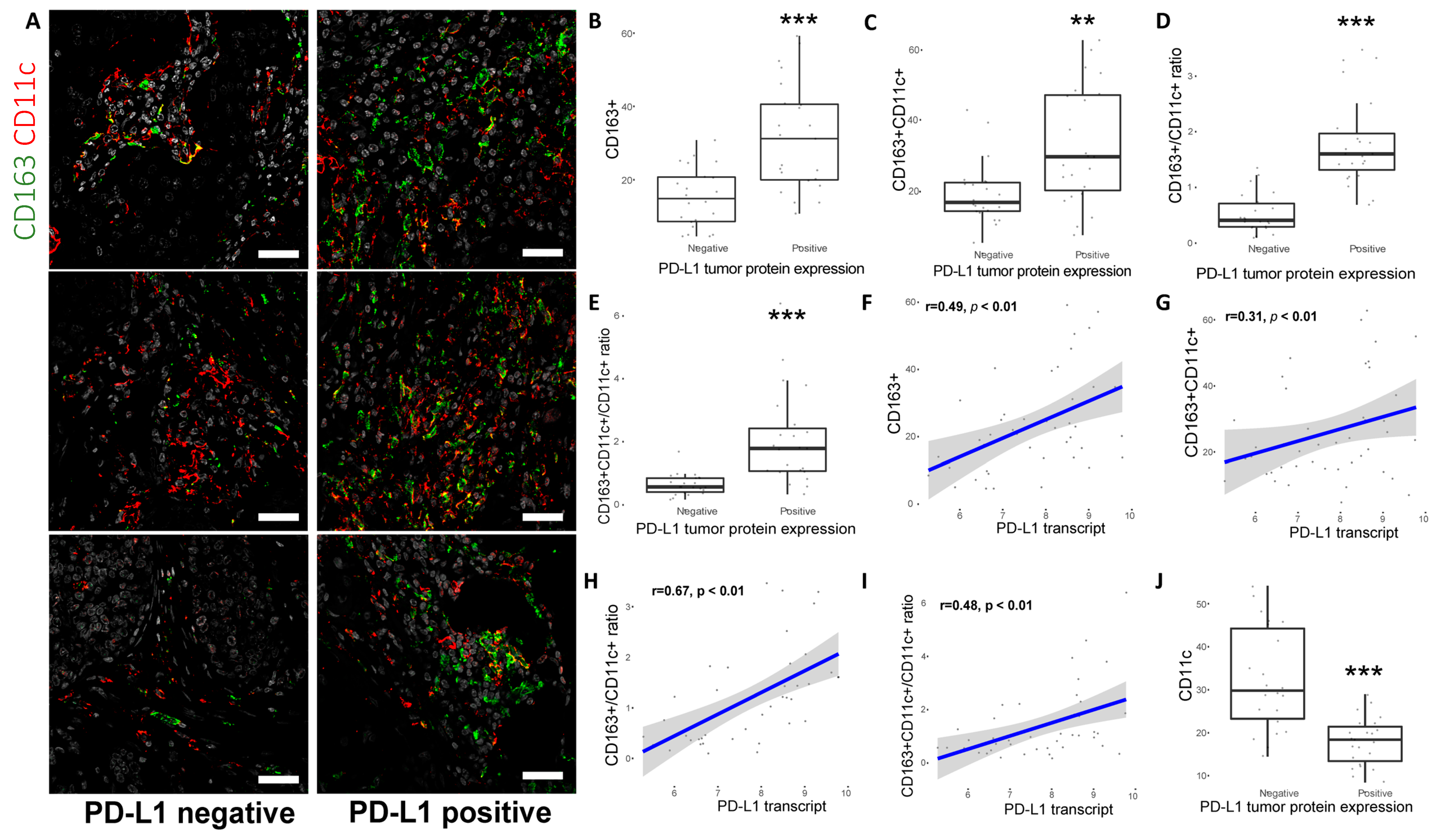 Cancers 11 01479 g005 Cancers 11 01479 g005