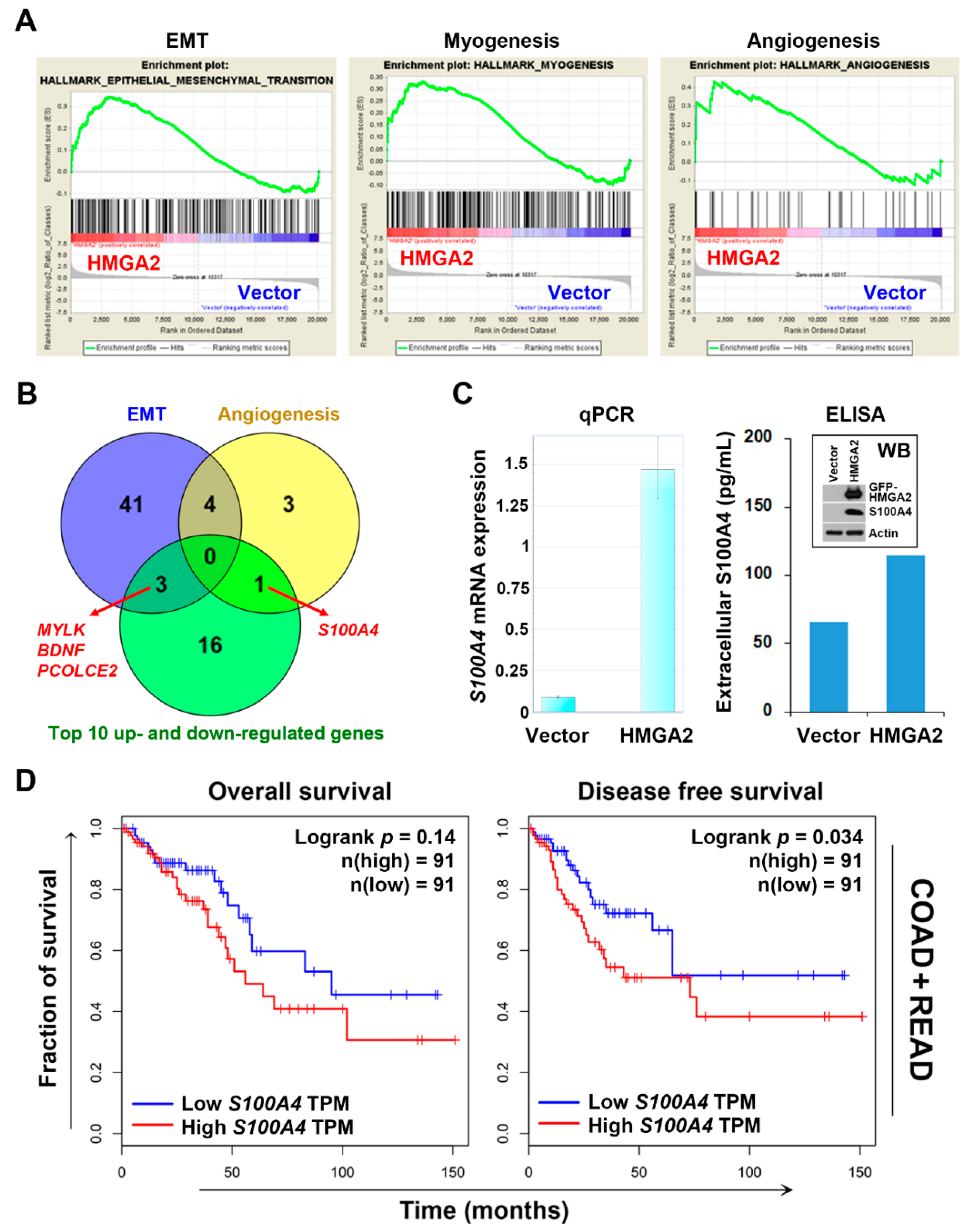 Cancers 11 01482 g004