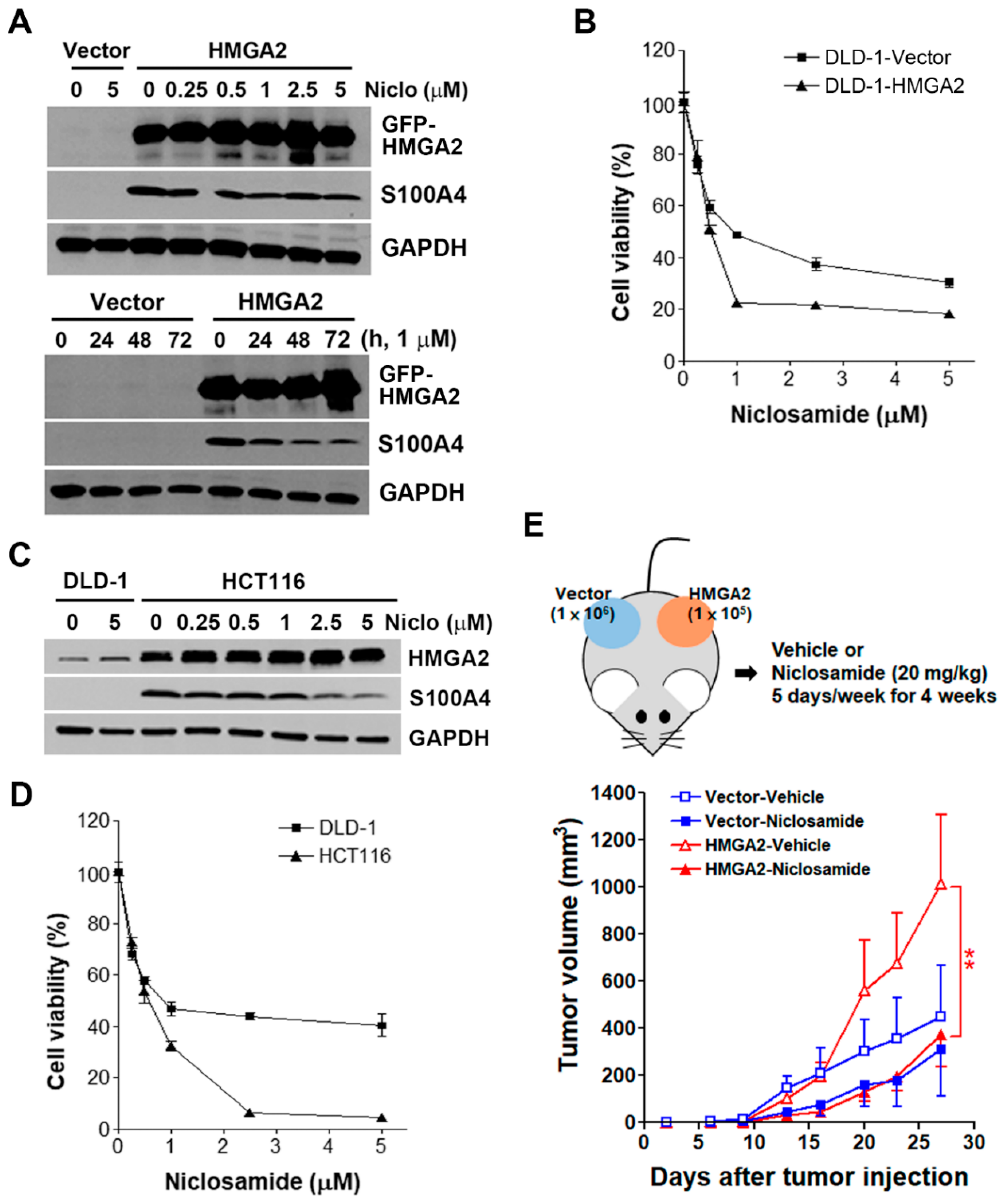 Cancers 11 01482 g007