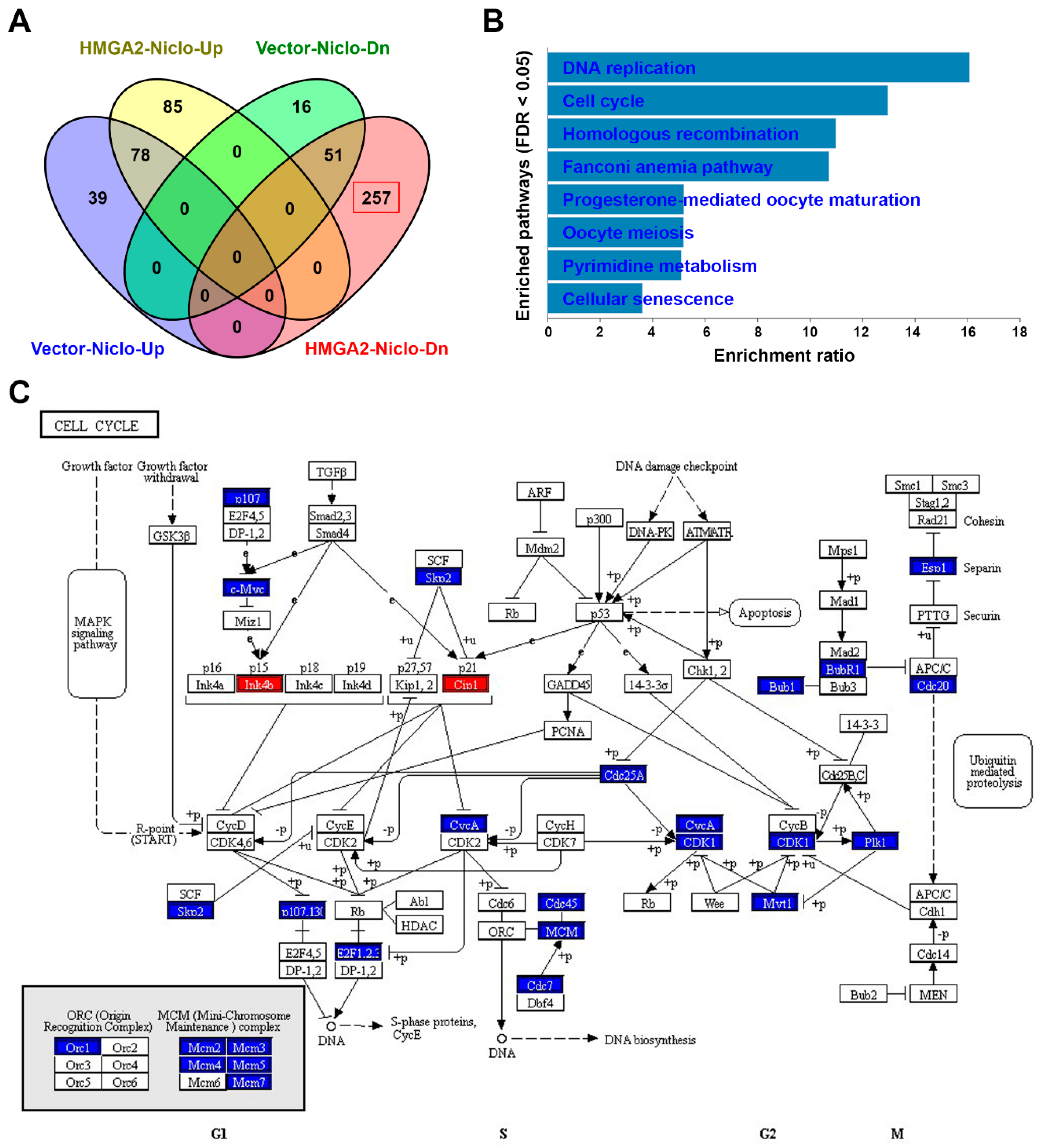 Cancers 11 01482 g009