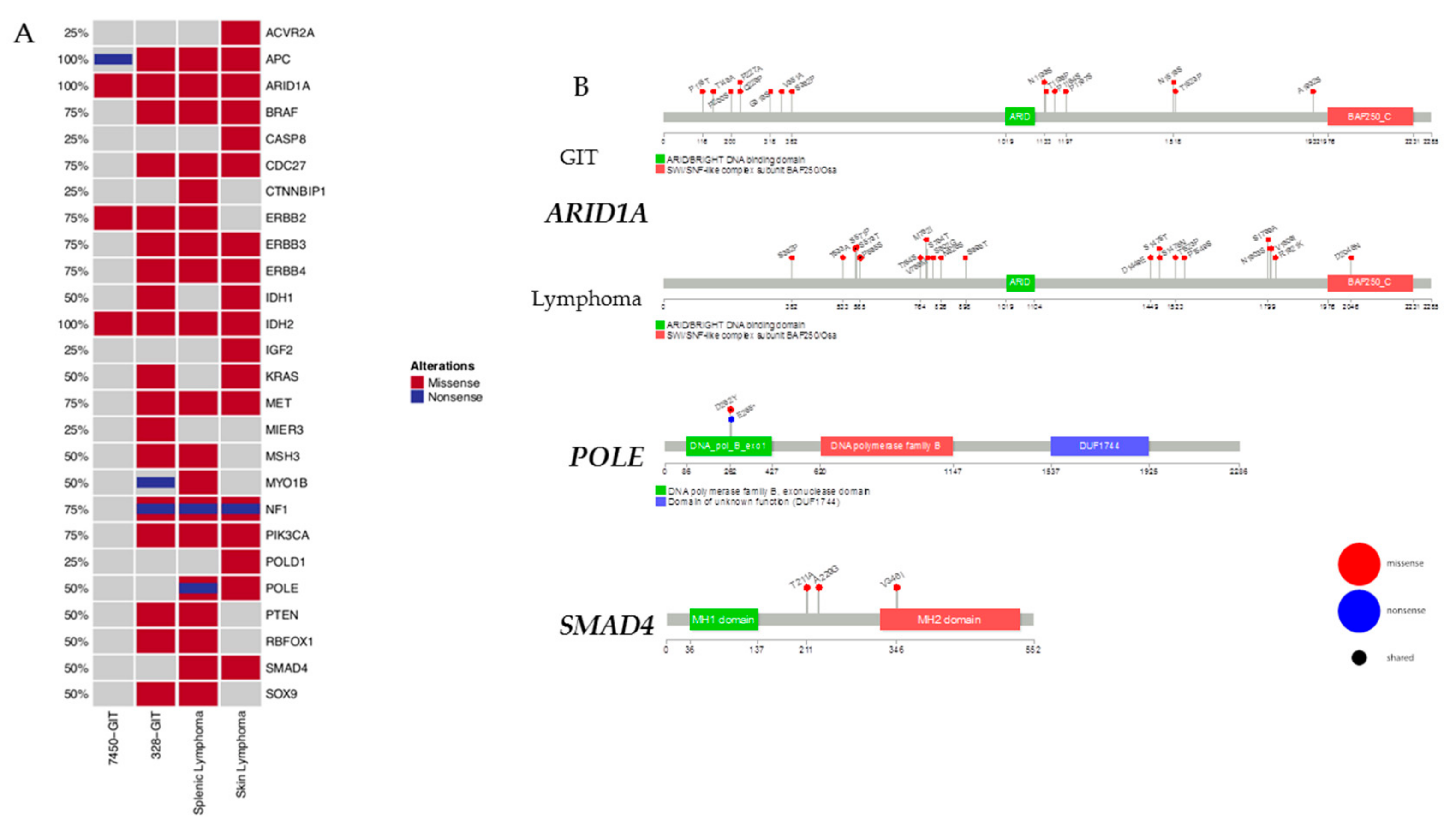 Cancers 11 01485 g004 Cancers 11 01485 g004