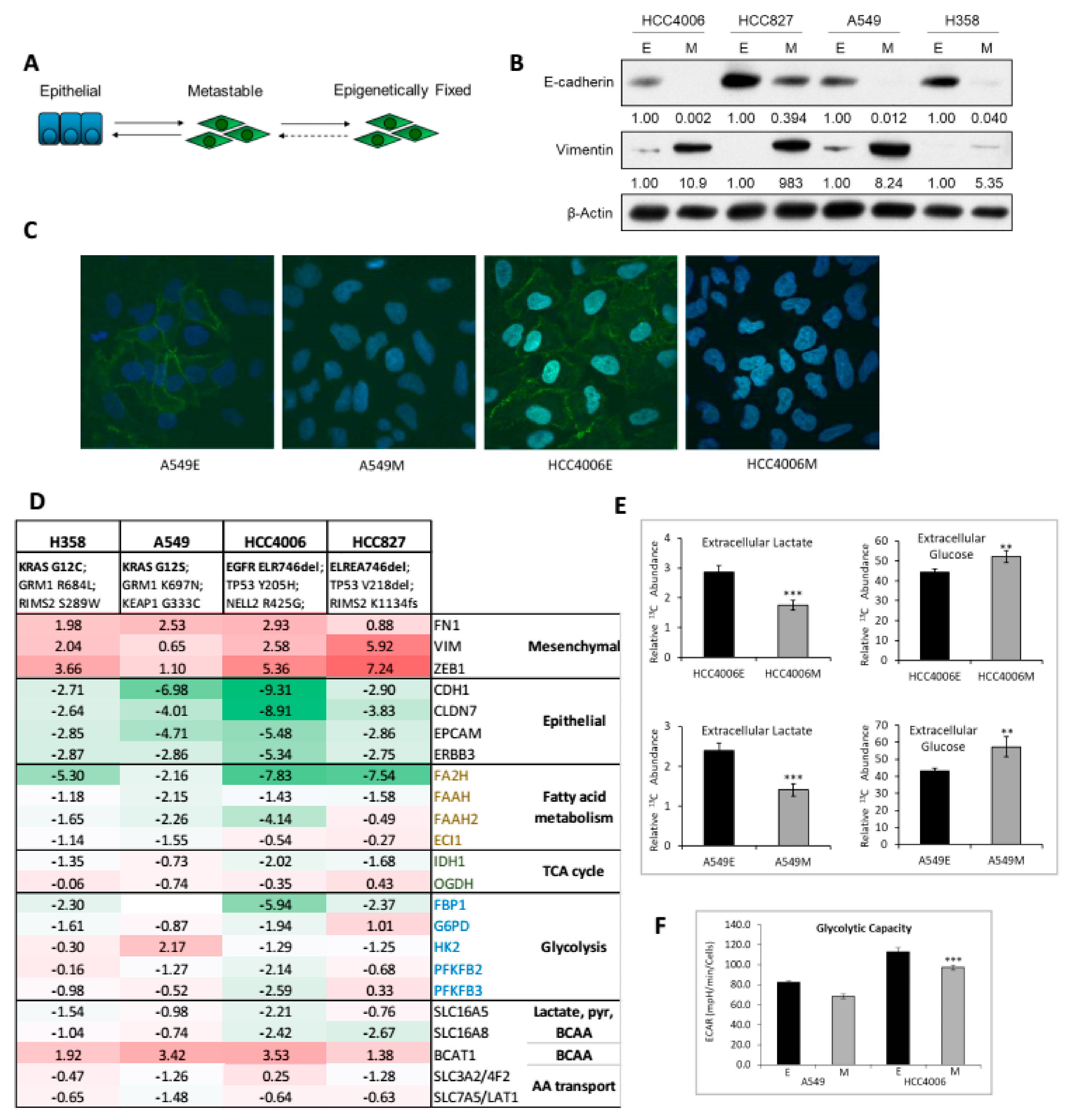 Cancers 11 01488 g001