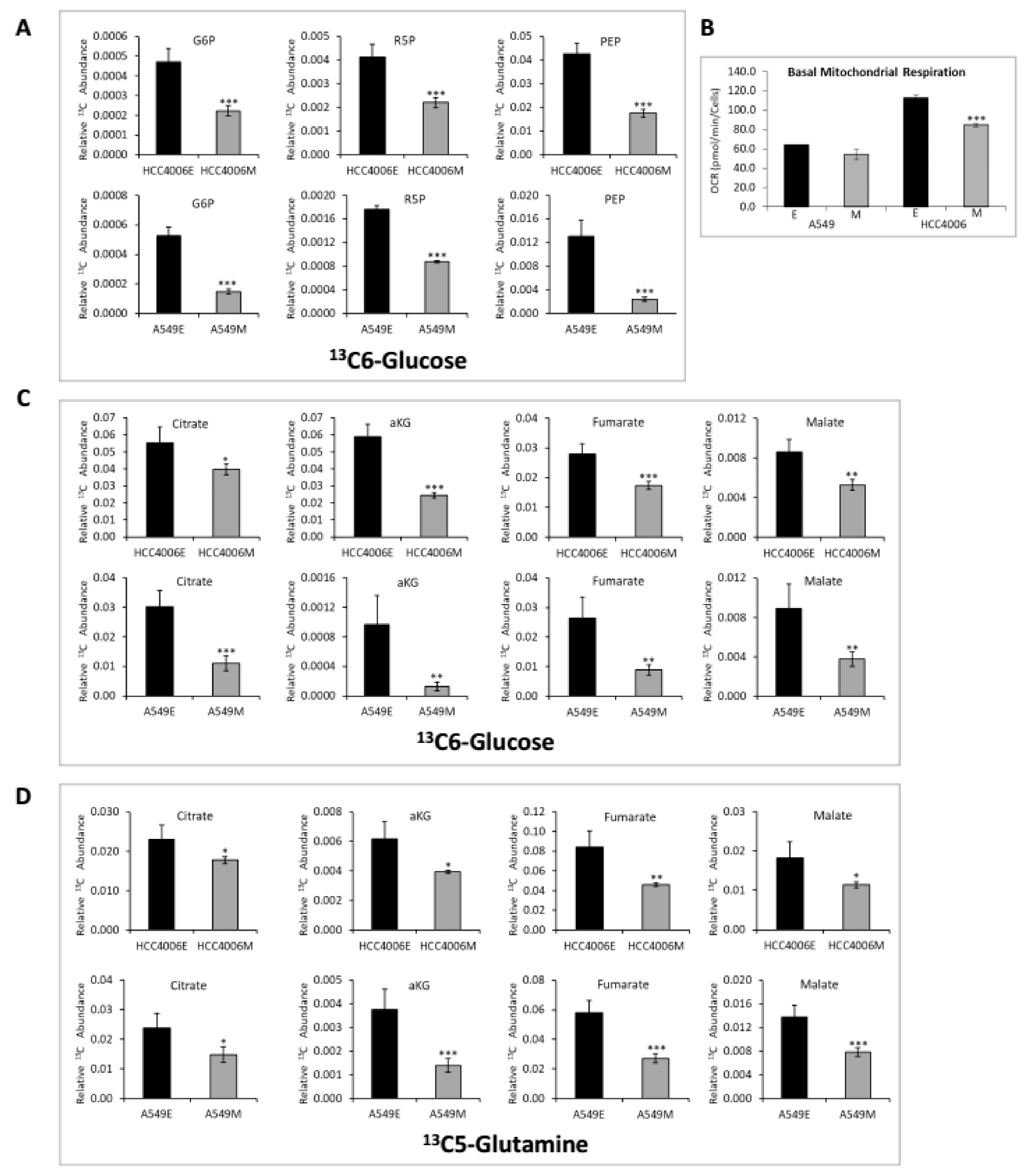 Cancers 11 01488 g002