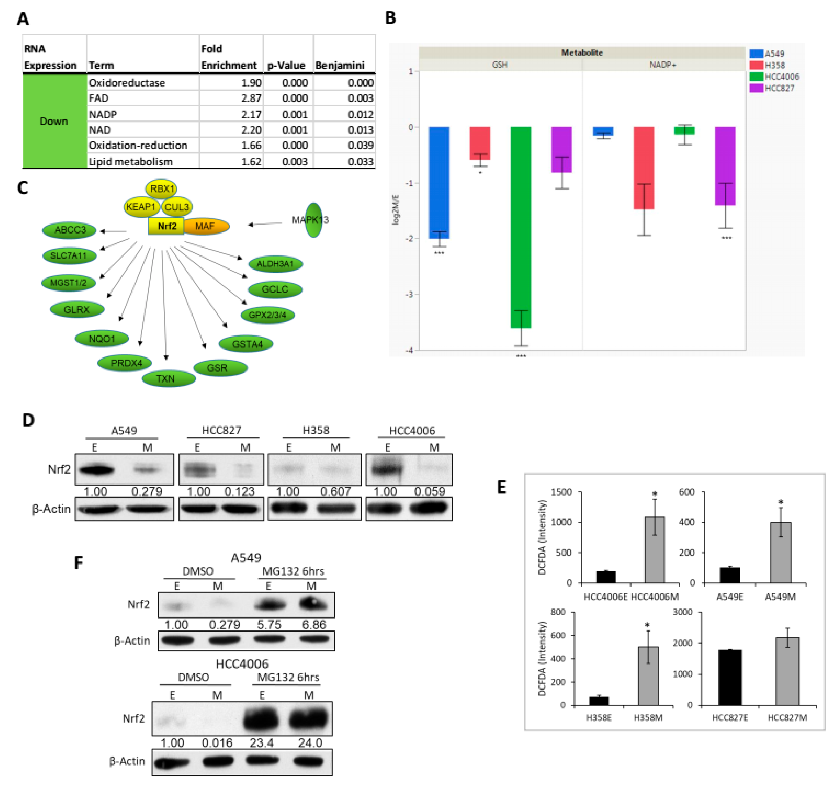 Cancers 11 01488 g004