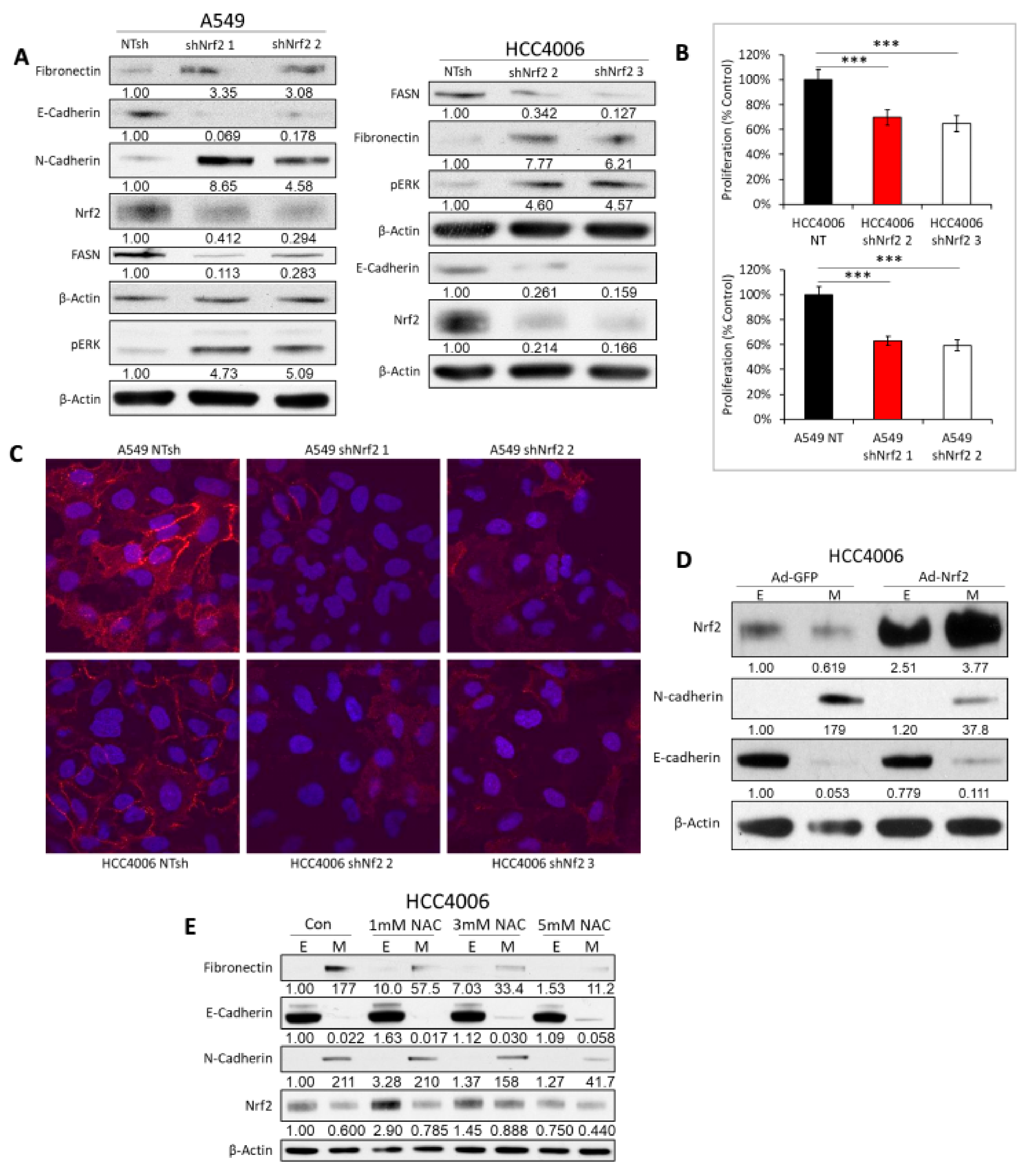 Cancers 11 01488 g005