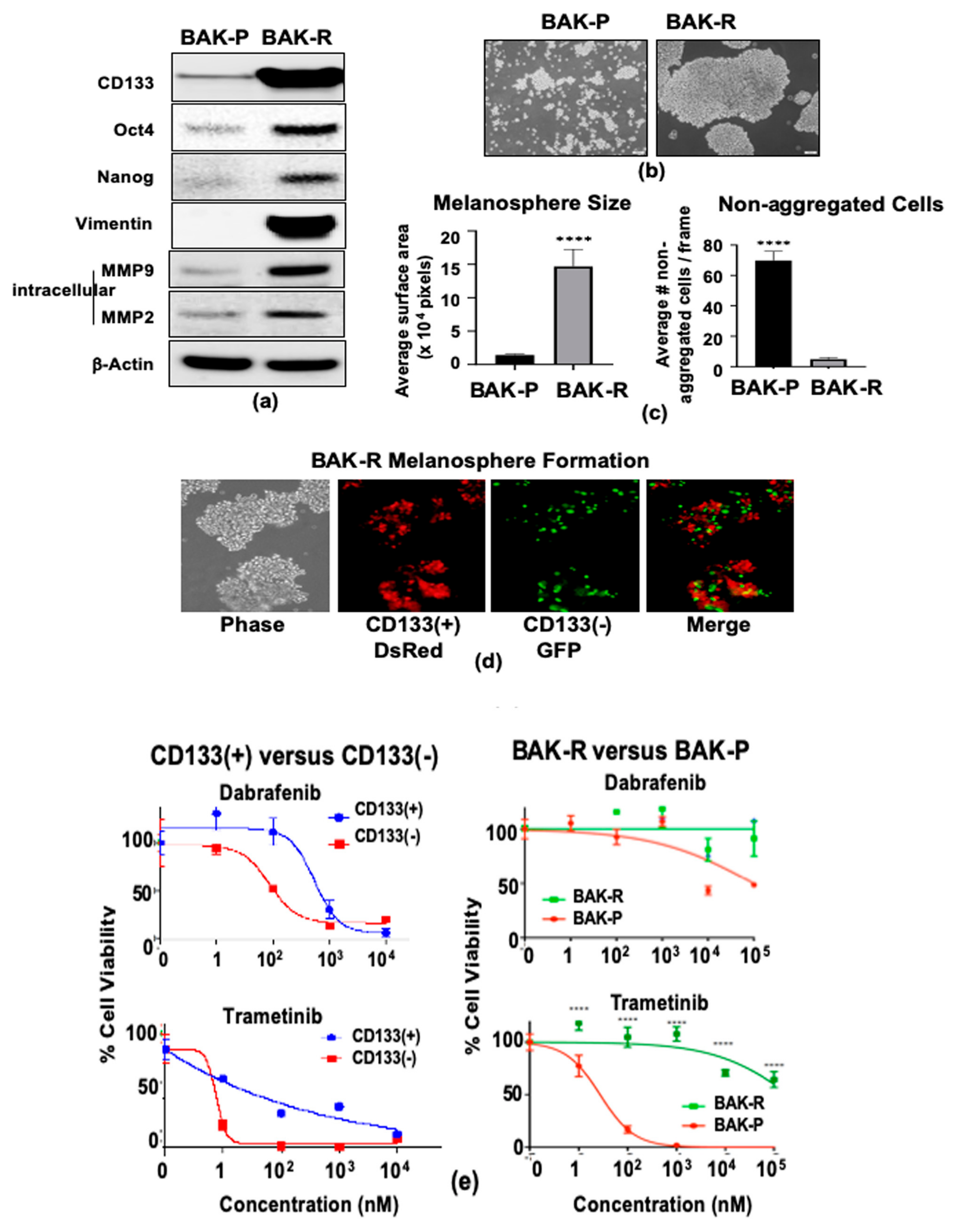 Cancers 11 01490 g002 Cancers 11 01490 g002