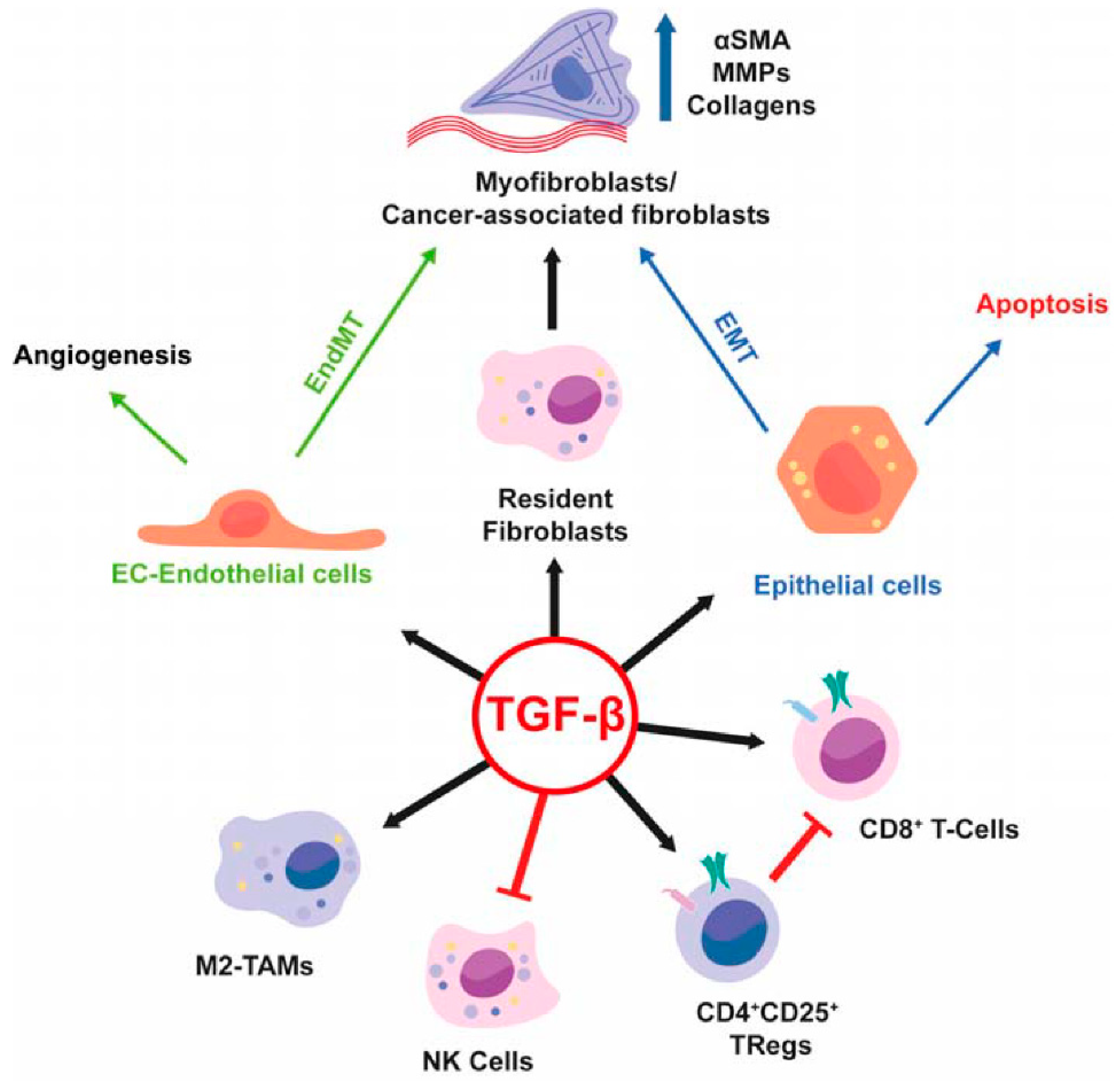 Cancers 11 01510 g002