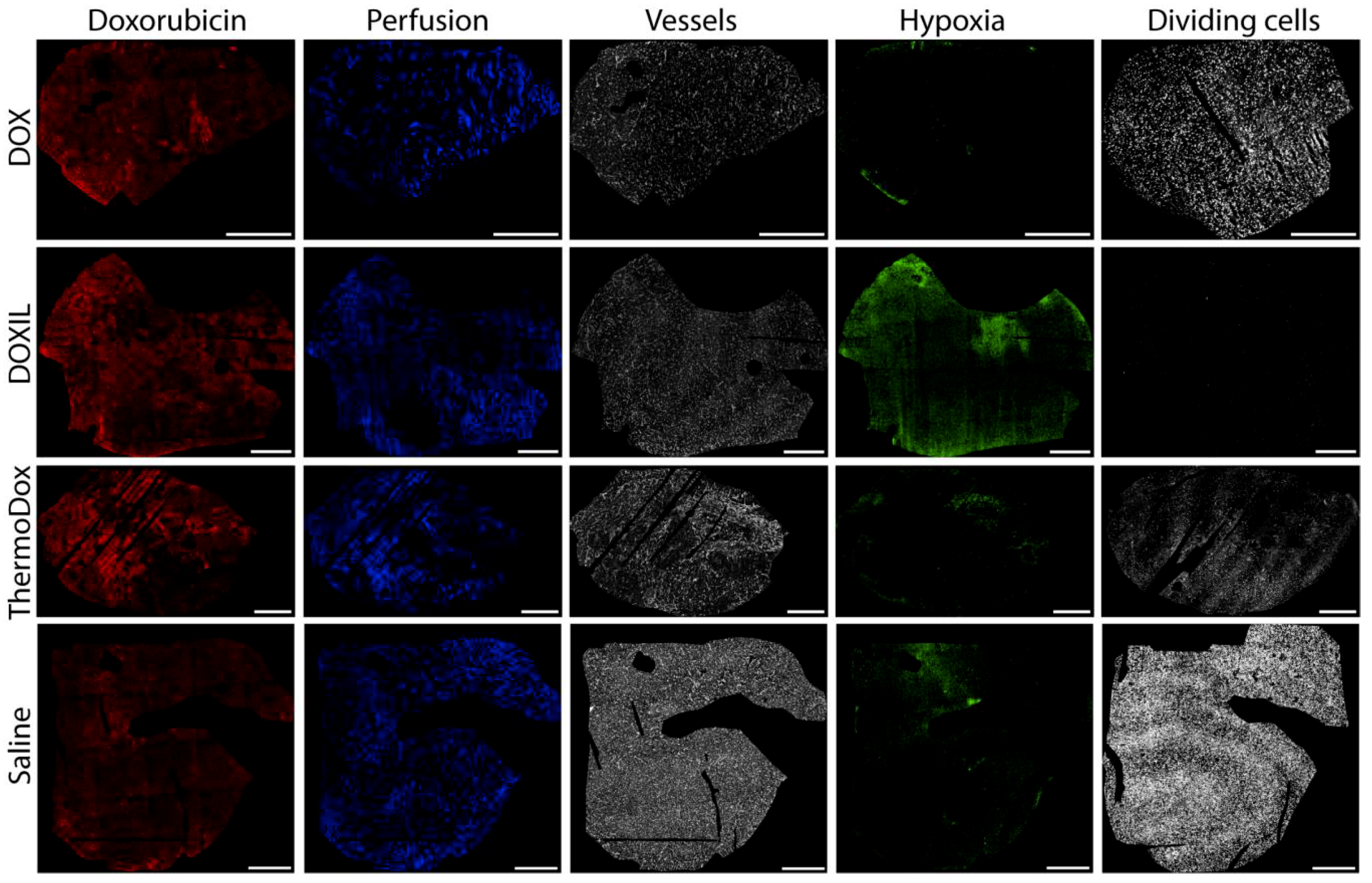 Cancers 11 01512 g002 Cancers 11 01512 g002