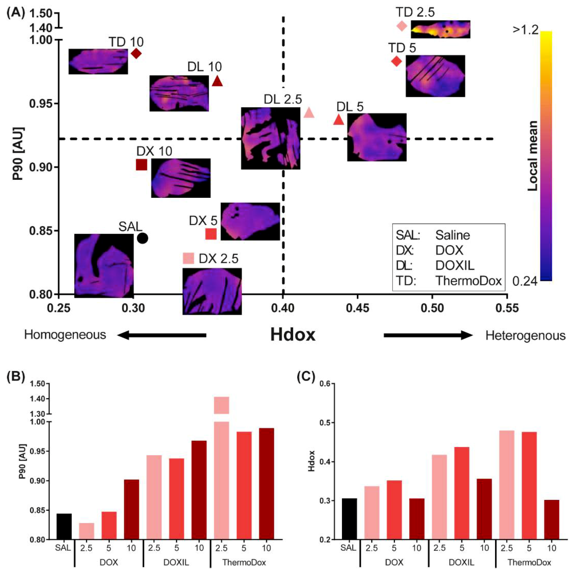 Cancers 11 01512 g003 Cancers 11 01512 g003