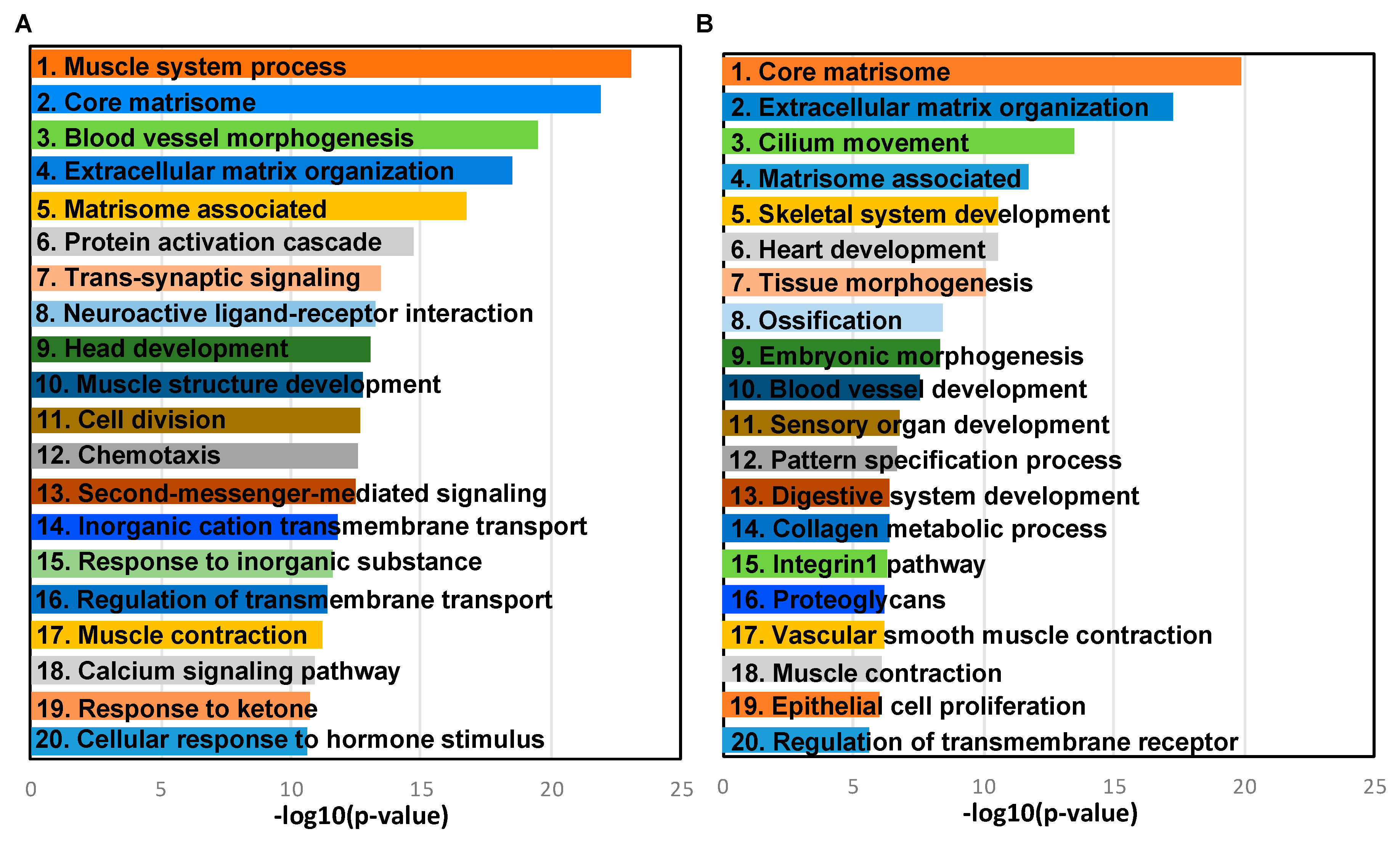 Cancers 11 01513 g003 Cancers 11 01513 g003