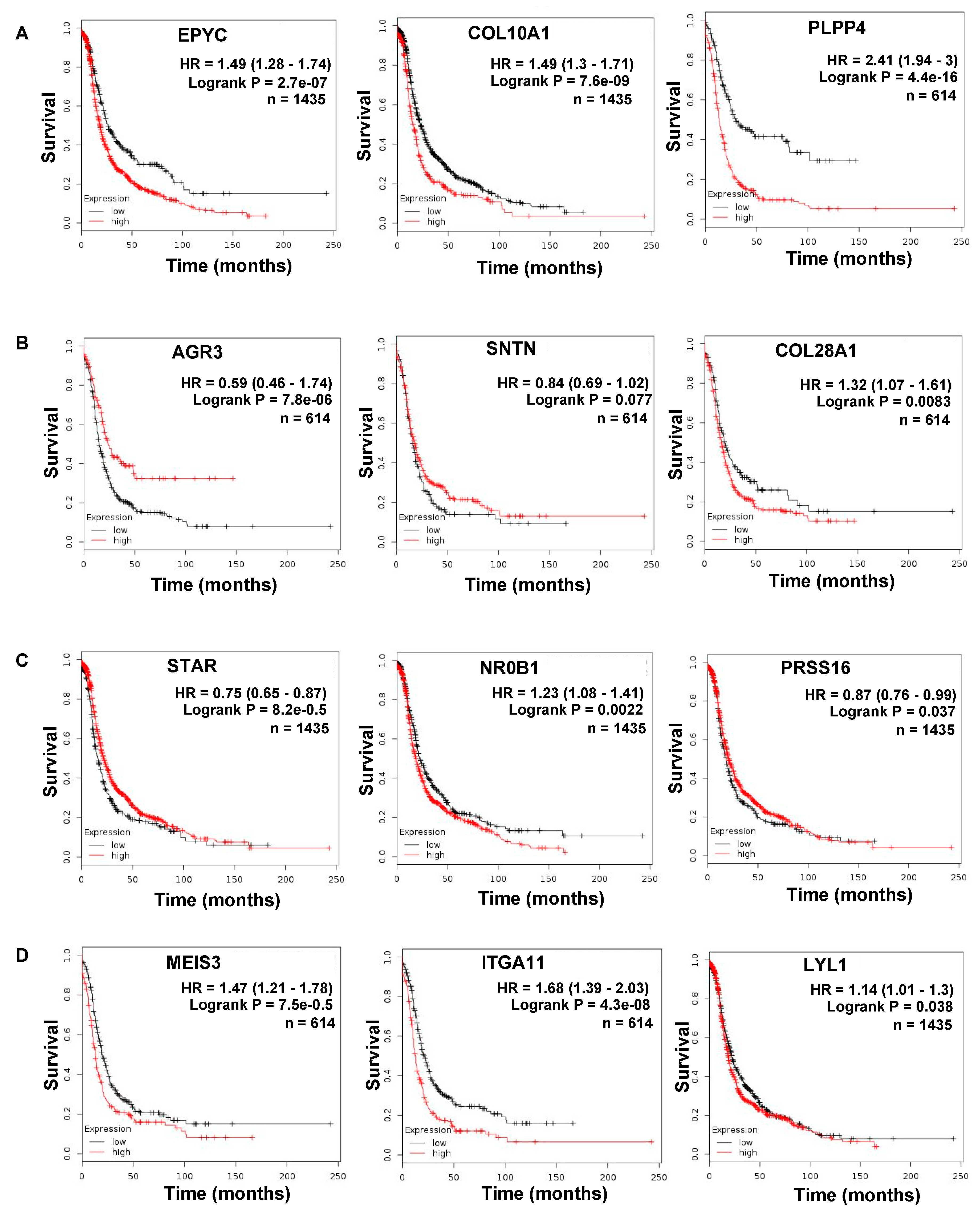 Cancers 11 01513 g006 Cancers 11 01513 g006