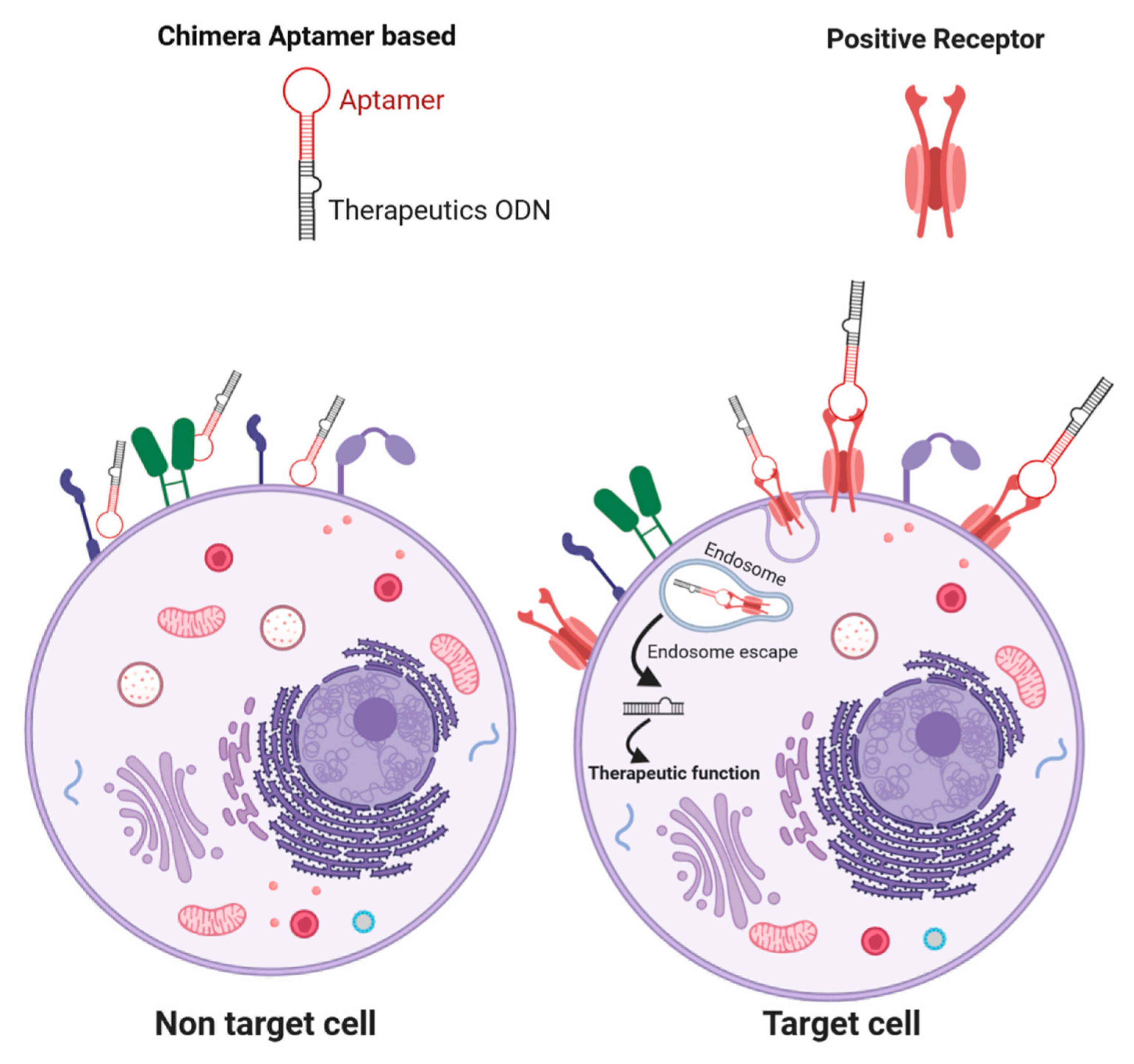 Cancers 11 01521 g002