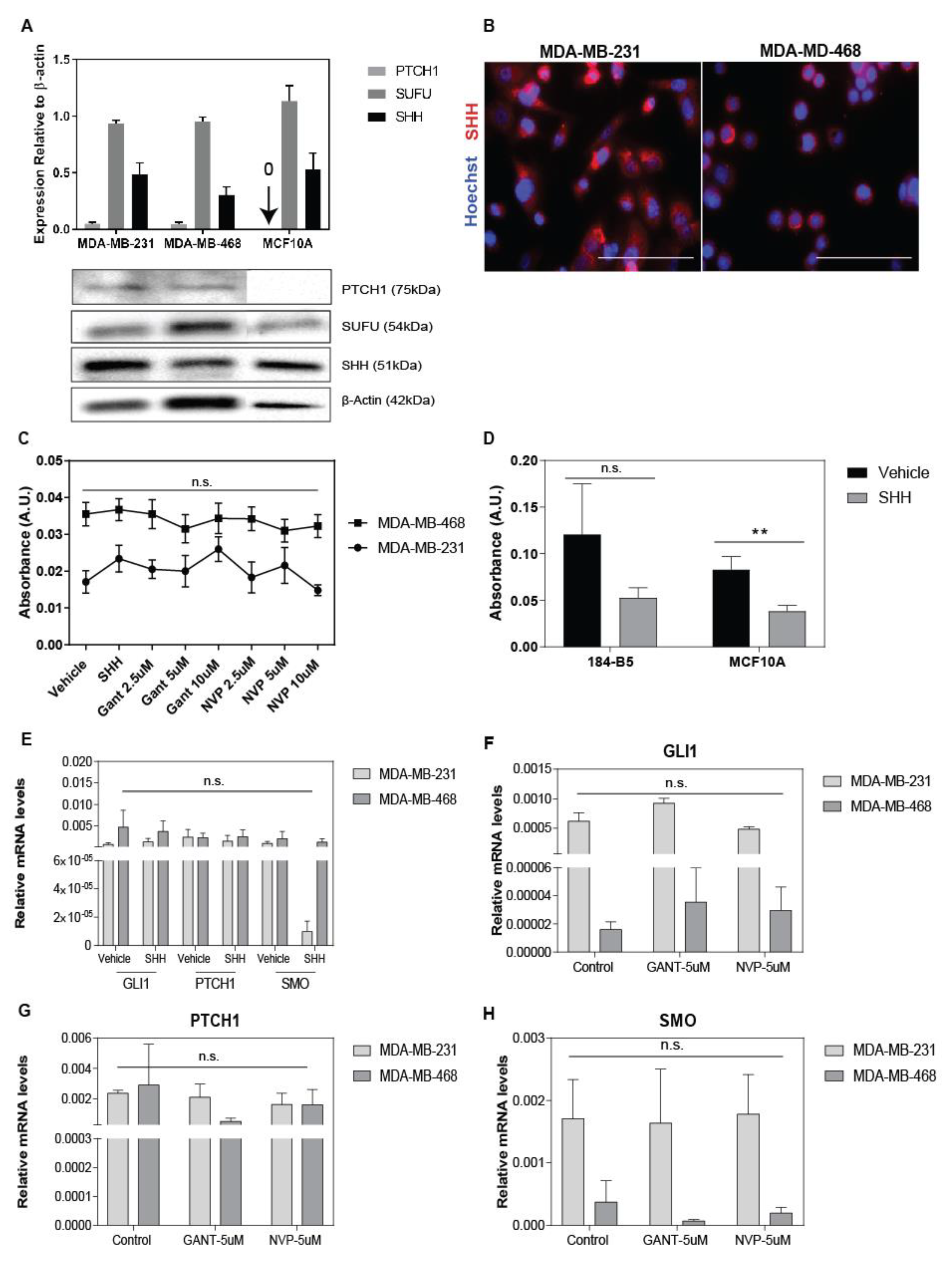 Cancers 11 01522 g001 Cancers 11 01522 g001