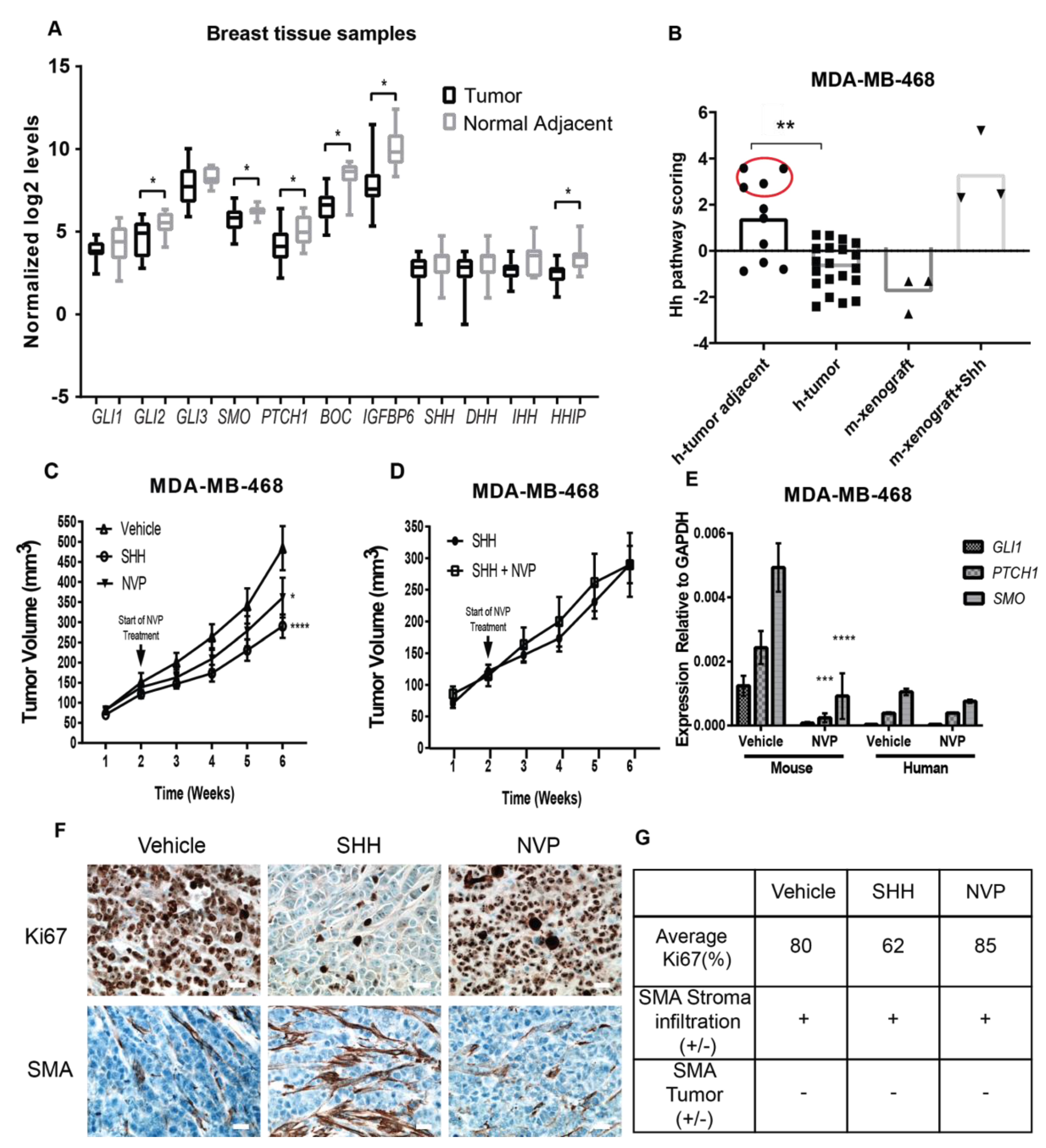 Cancers 11 01522 g002 Cancers 11 01522 g002