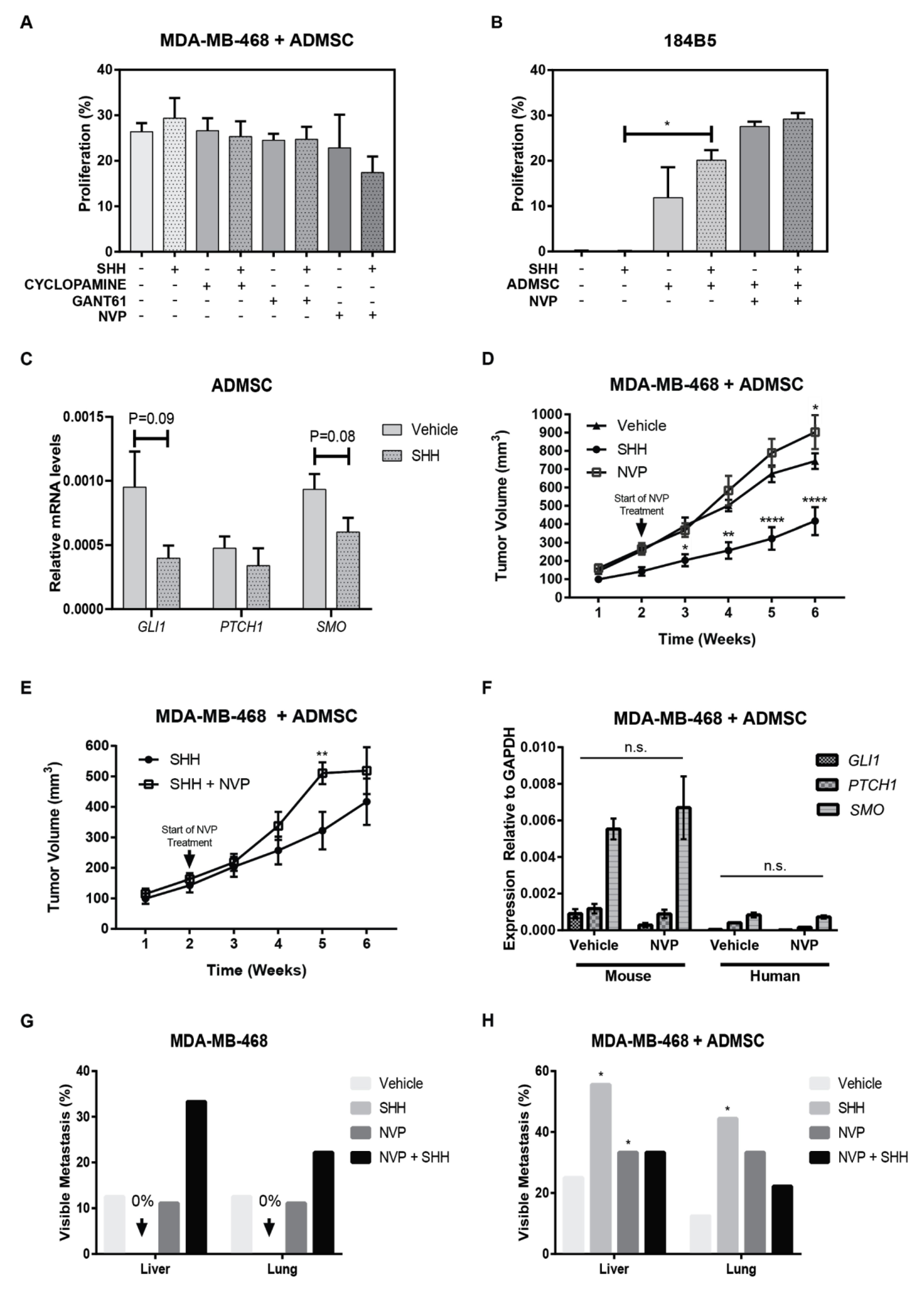 Cancers 11 01522 g006 Cancers 11 01522 g006
