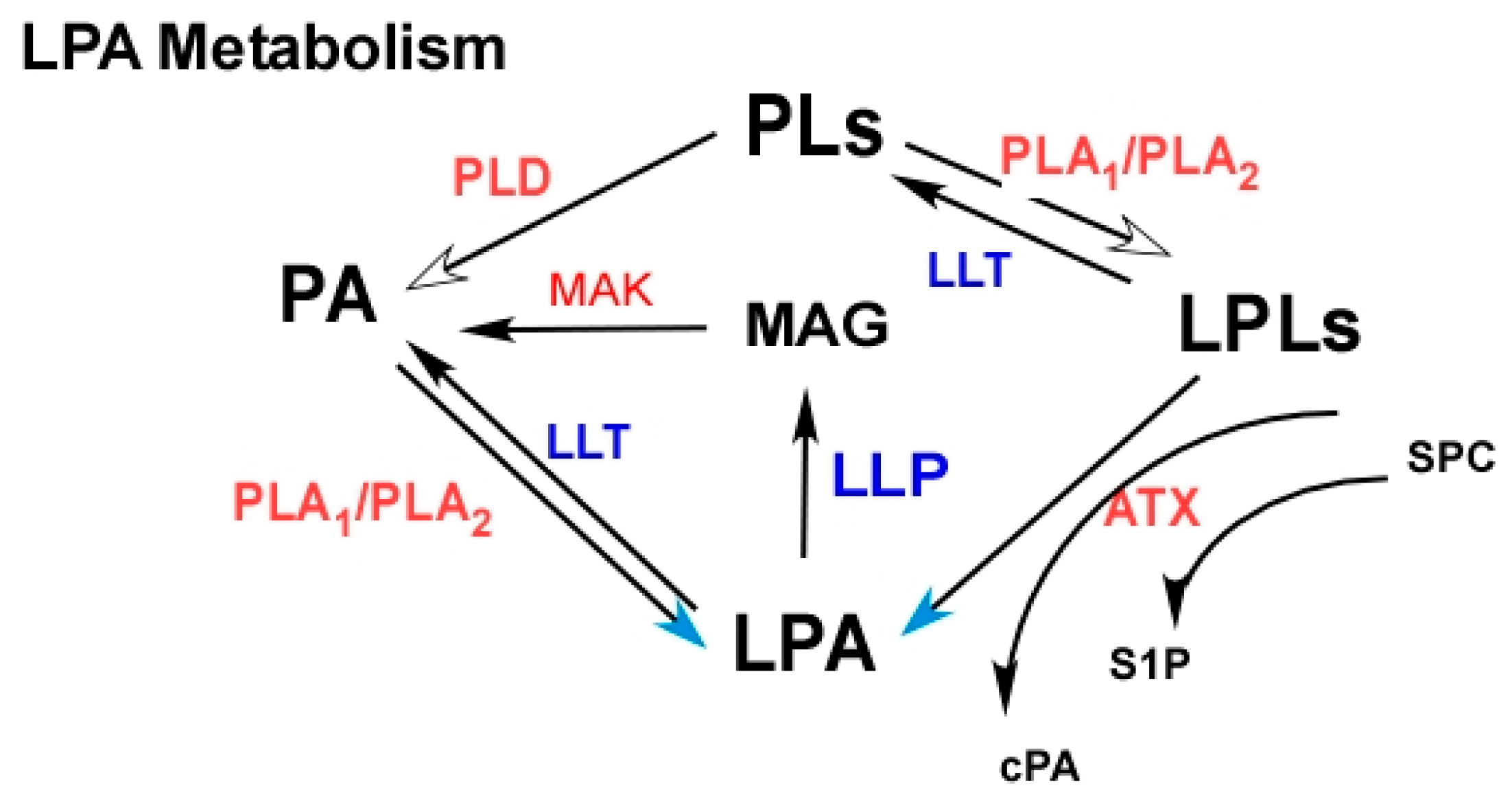 Cancers 11 01523 g002