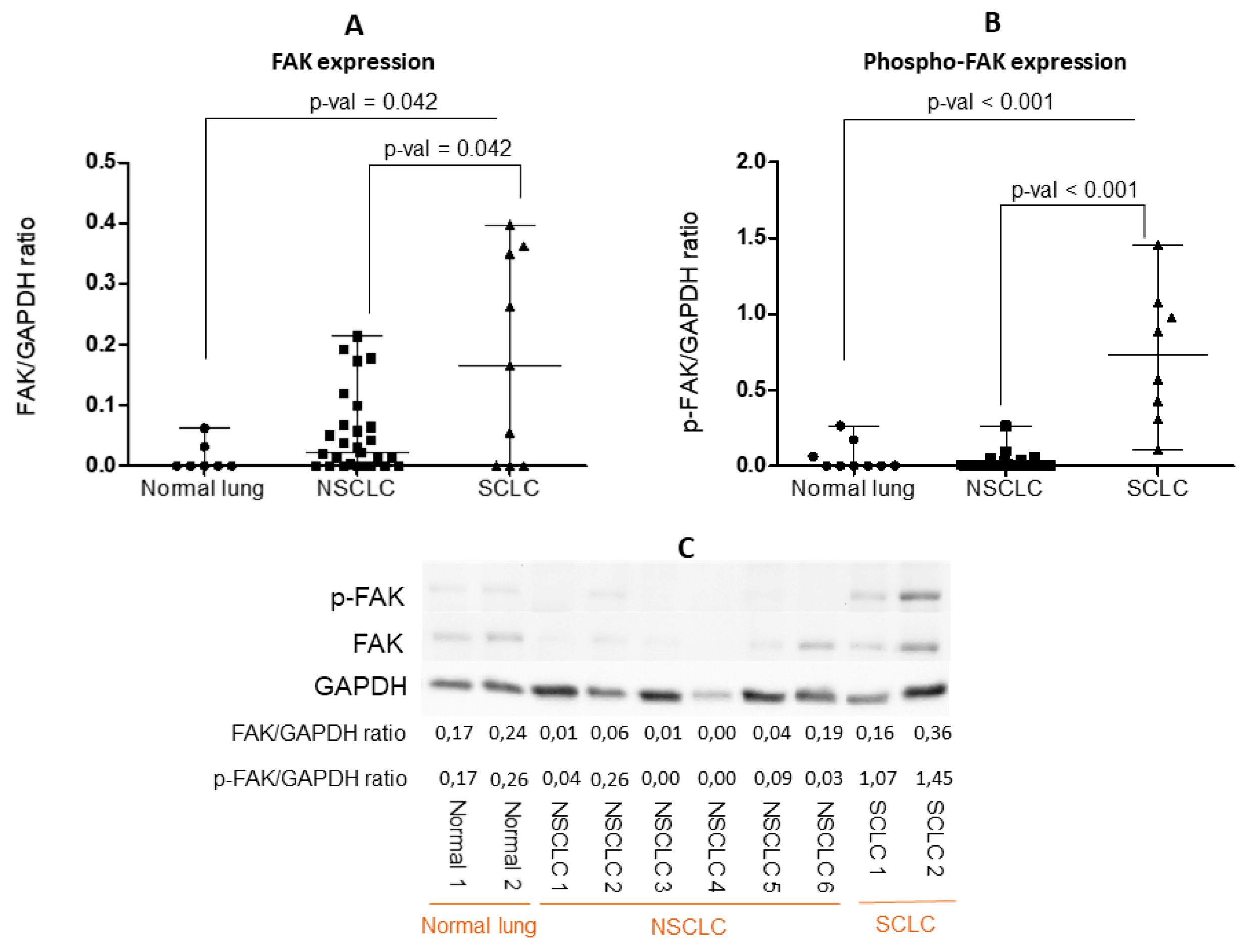 Cancers 11 01526 g005 Cancers 11 01526 g005