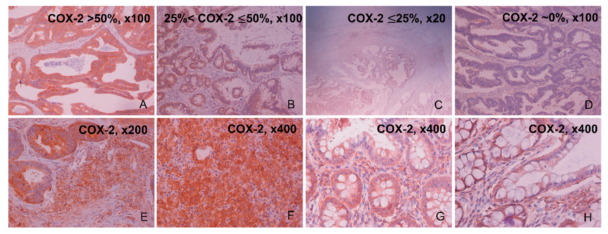 Cancers 11 01536 g001