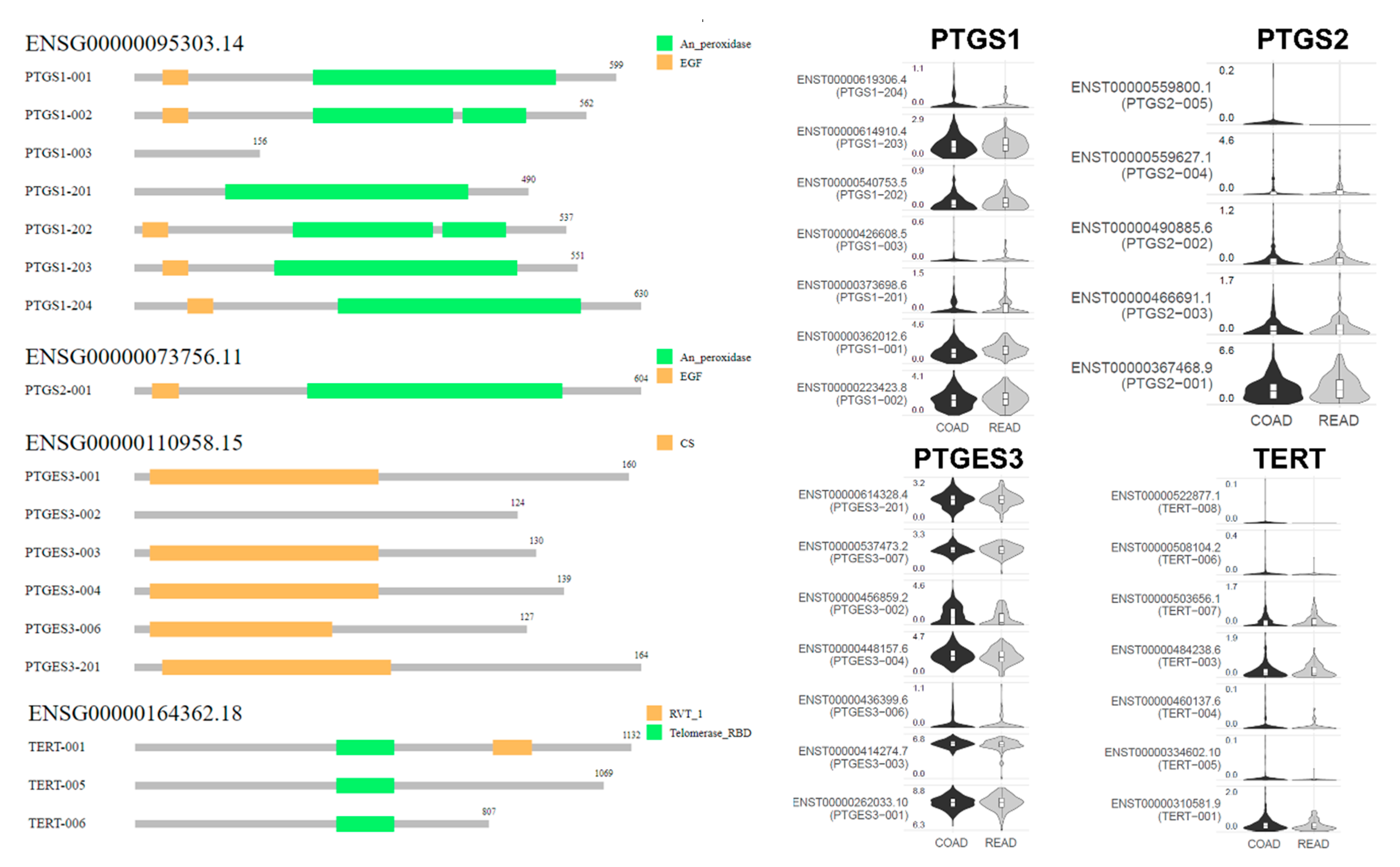 Cancers 11 01536 g005