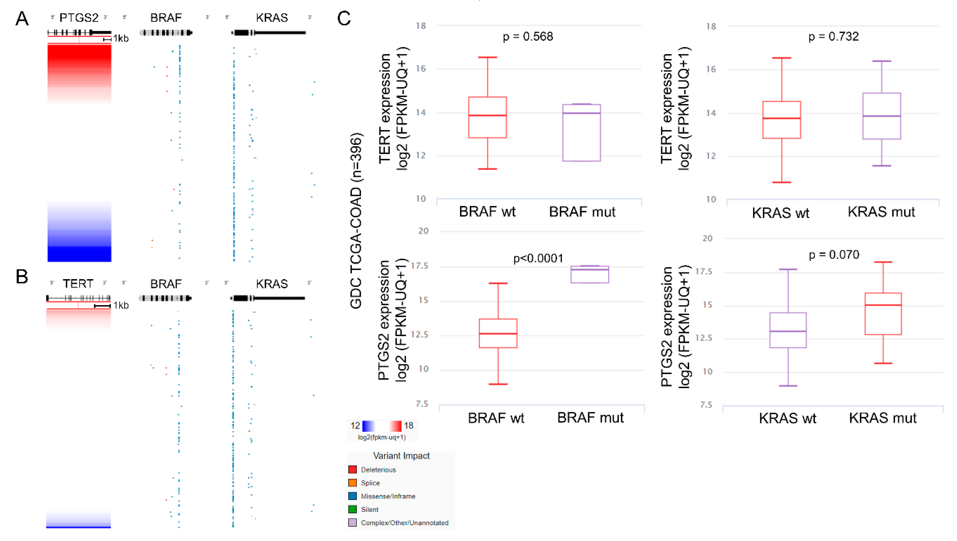 Cancers 11 01536 g006