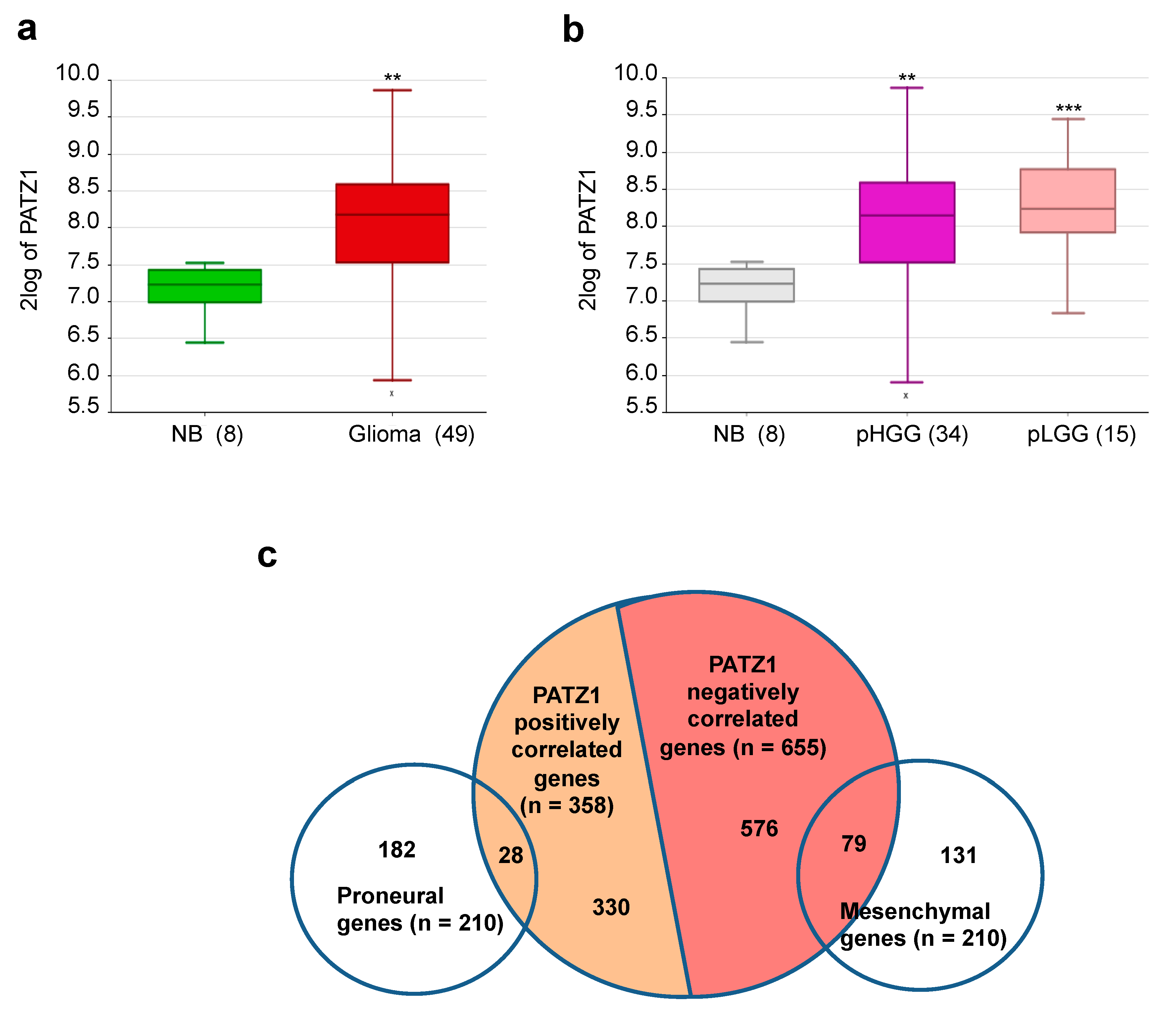 Cancers 11 01537 g001