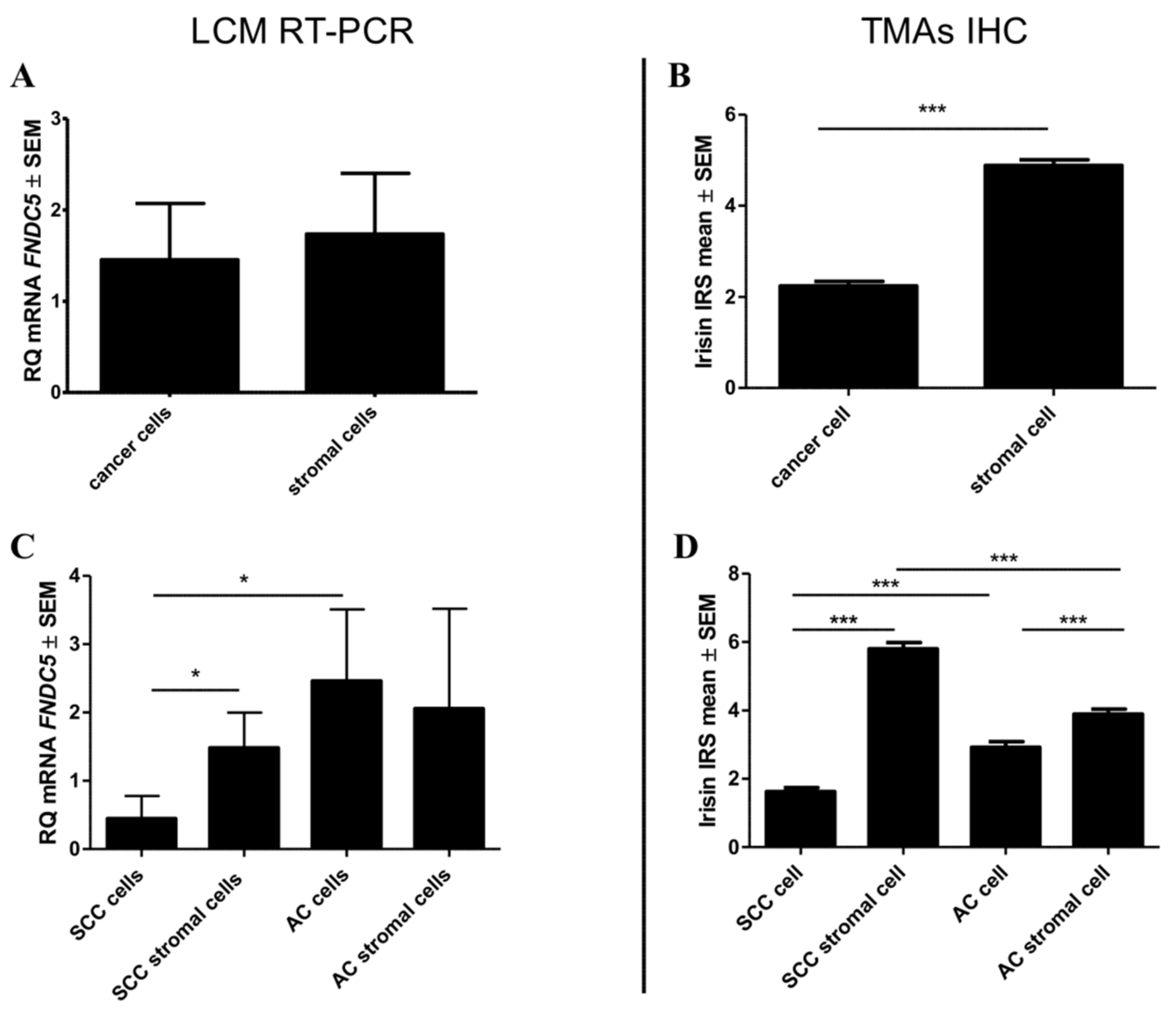 Cancers 11 01538 g003 Cancers 11 01538 g003