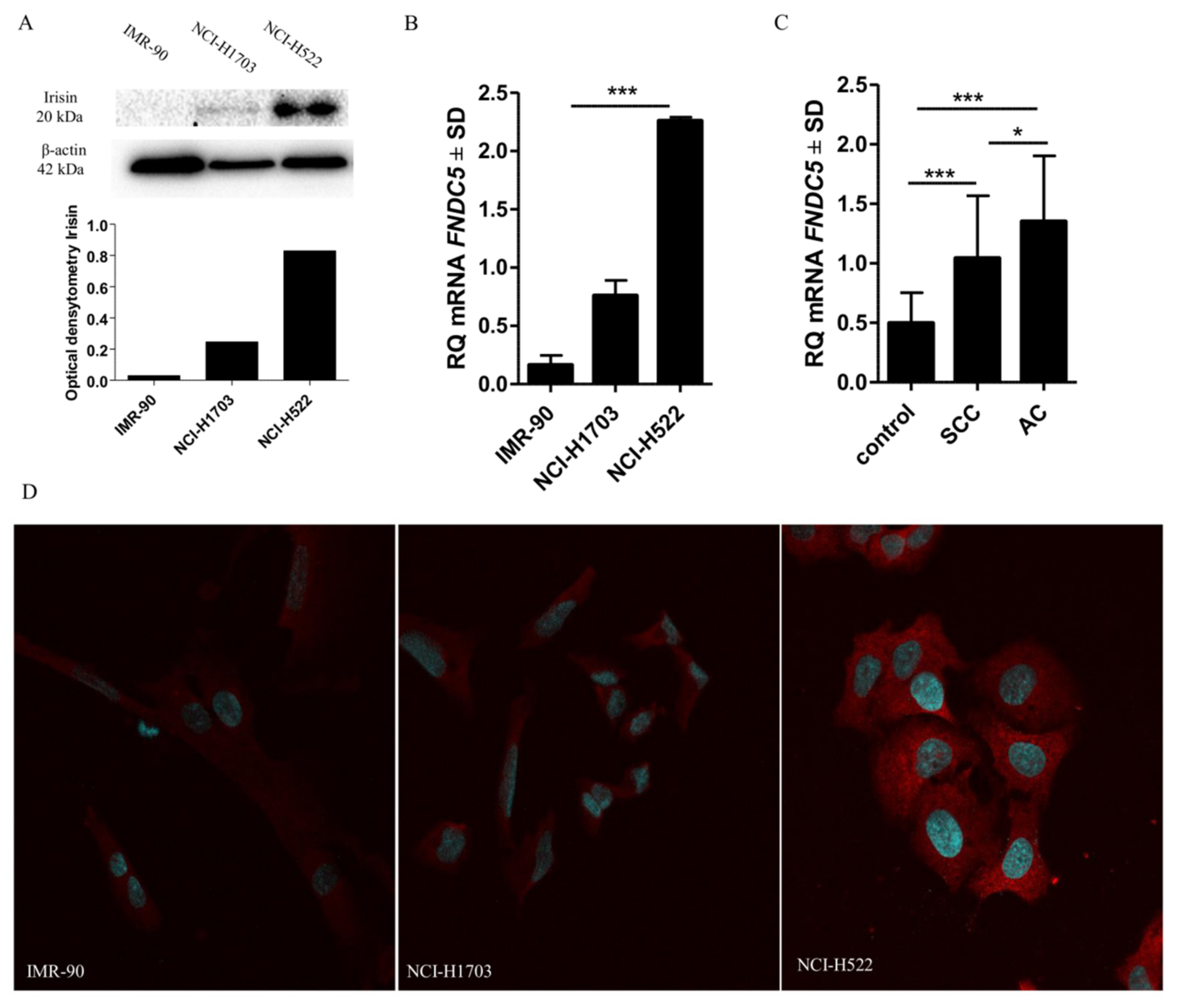 Cancers 11 01538 g004 Cancers 11 01538 g004