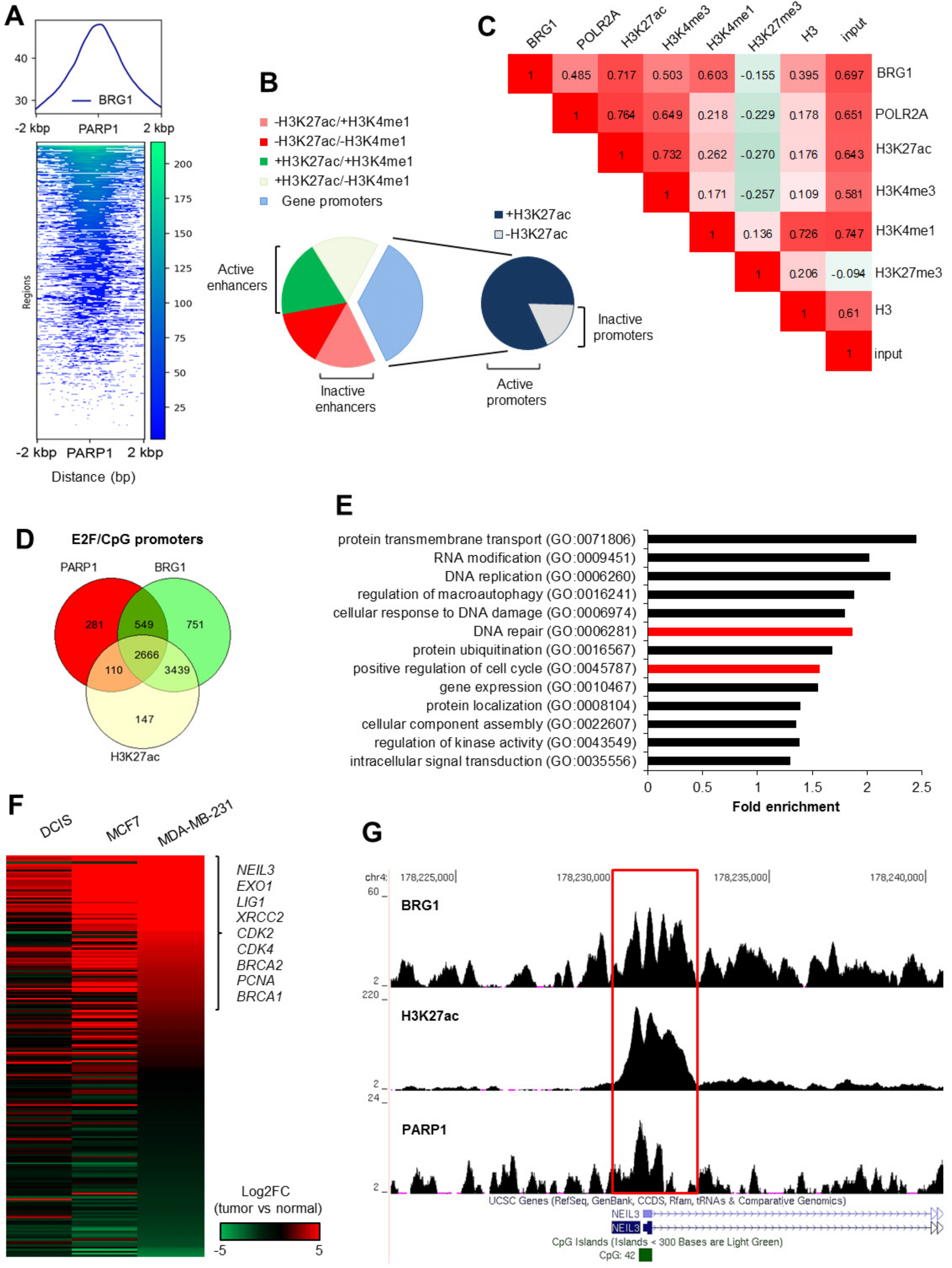 Cancers 11 01539 g002