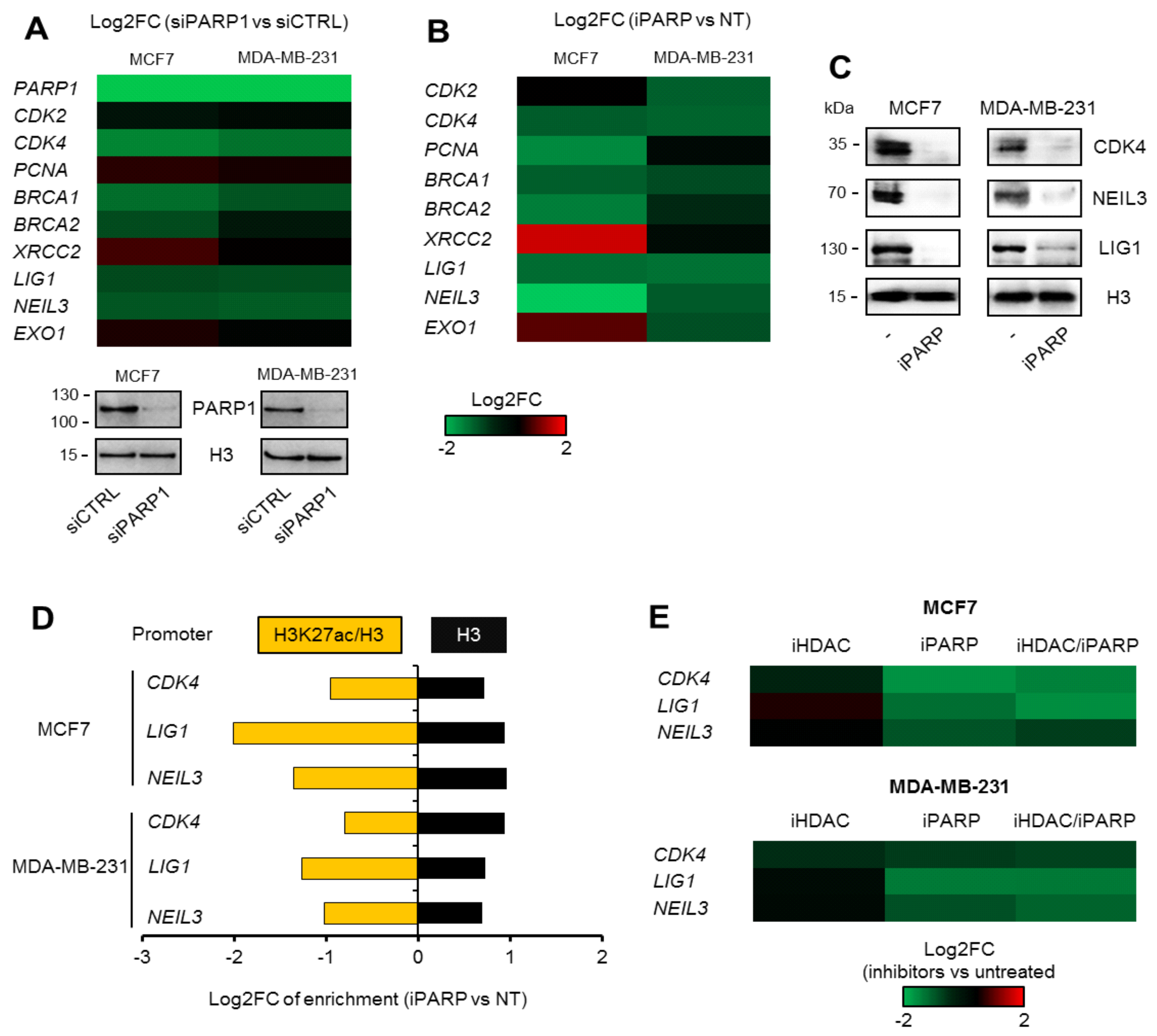 Cancers 11 01539 g003