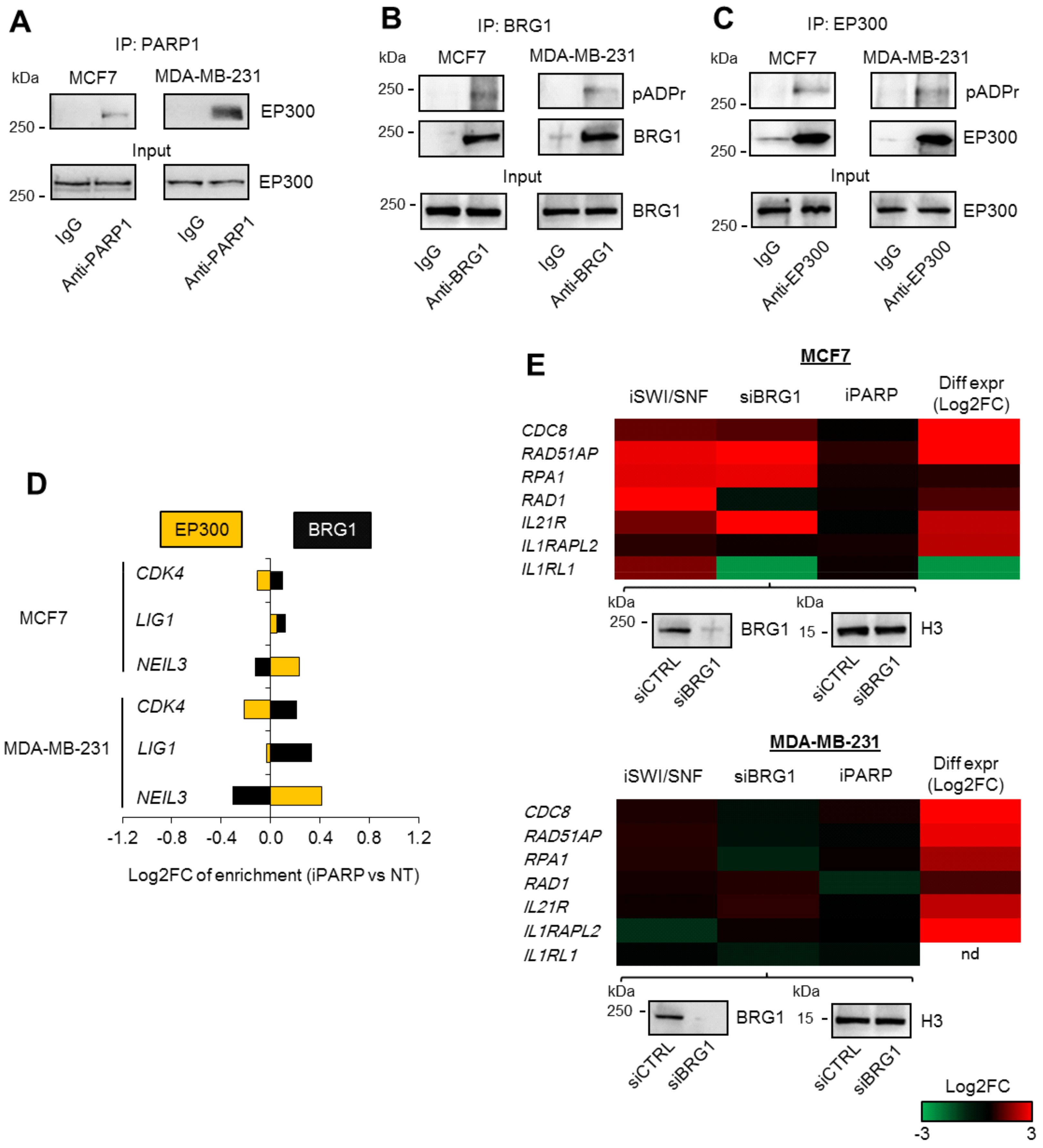 Cancers 11 01539 g004