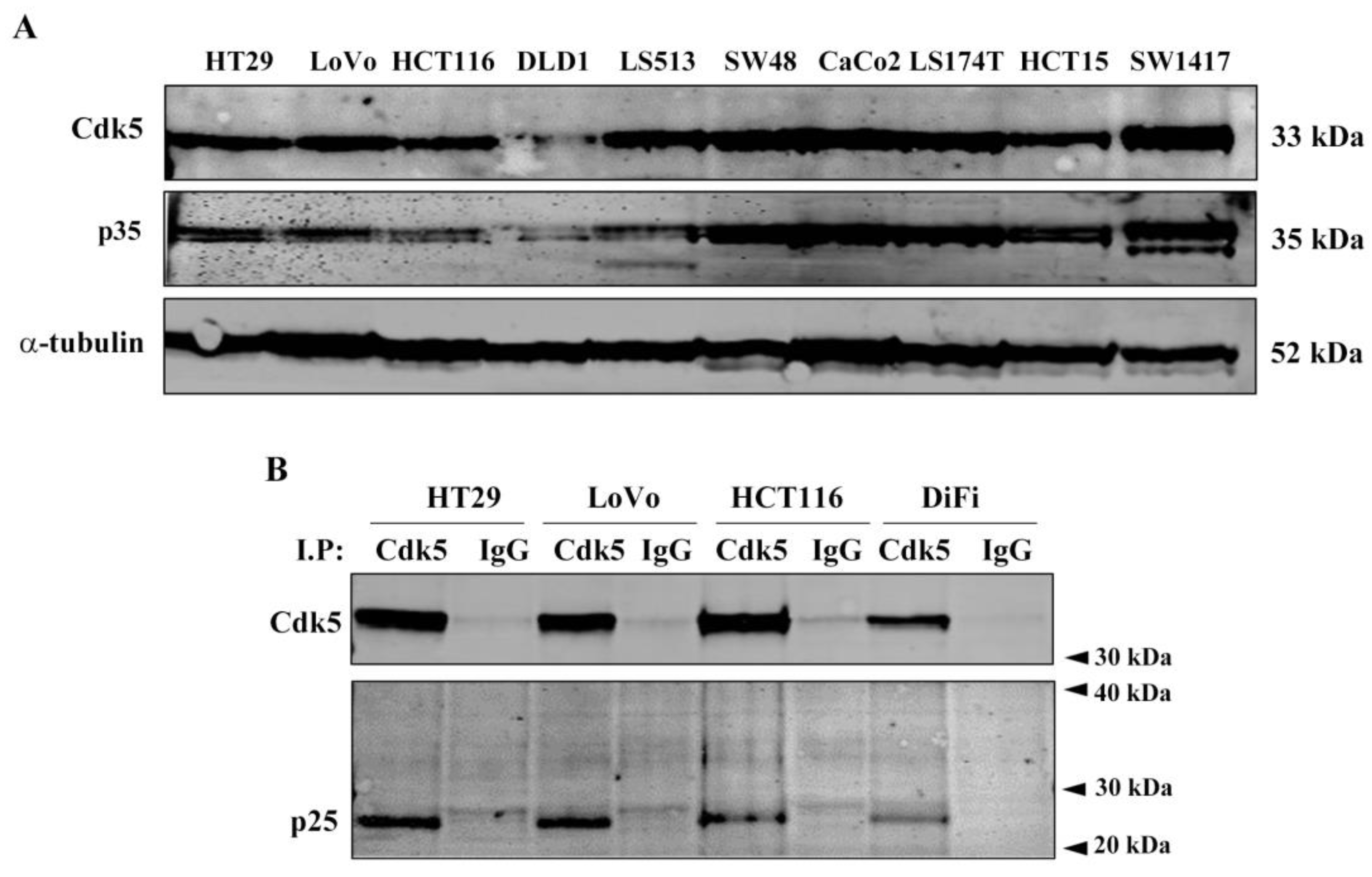 Cancers 11 01540 g001